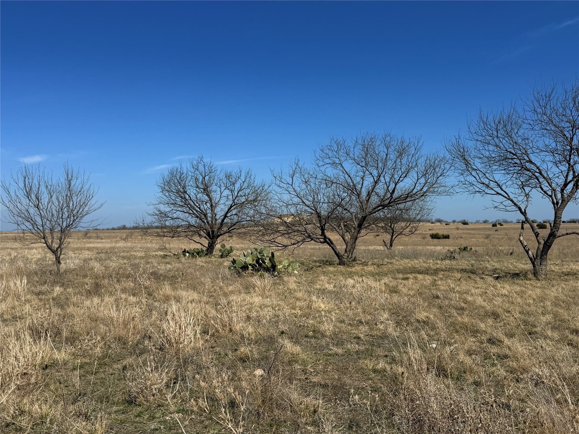 19 acres in Hamilton County - photo 2