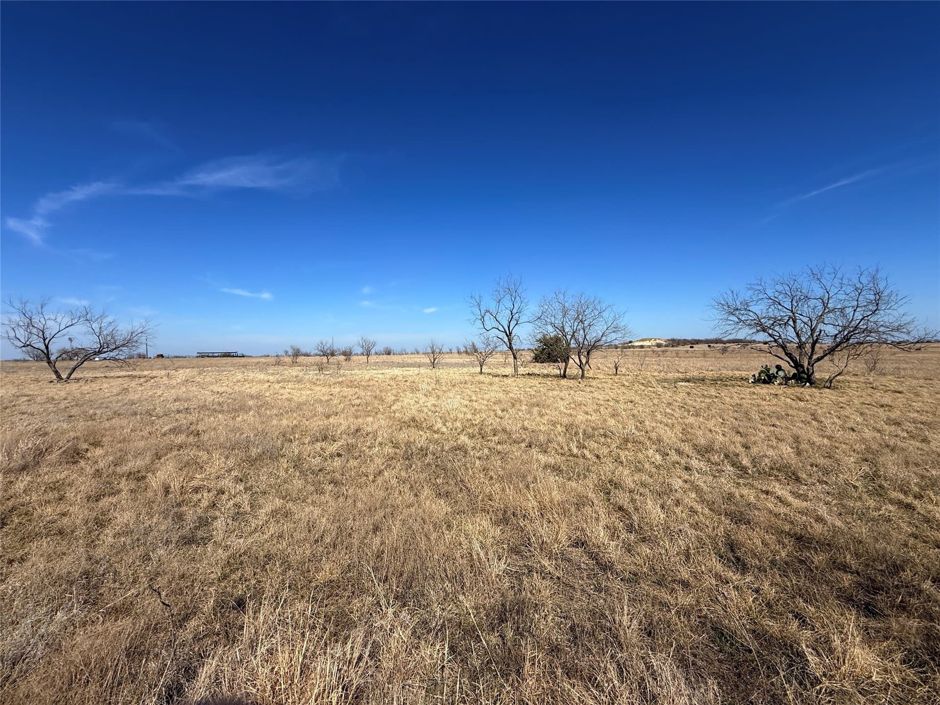 19 acres in Hamilton County - photo 9
