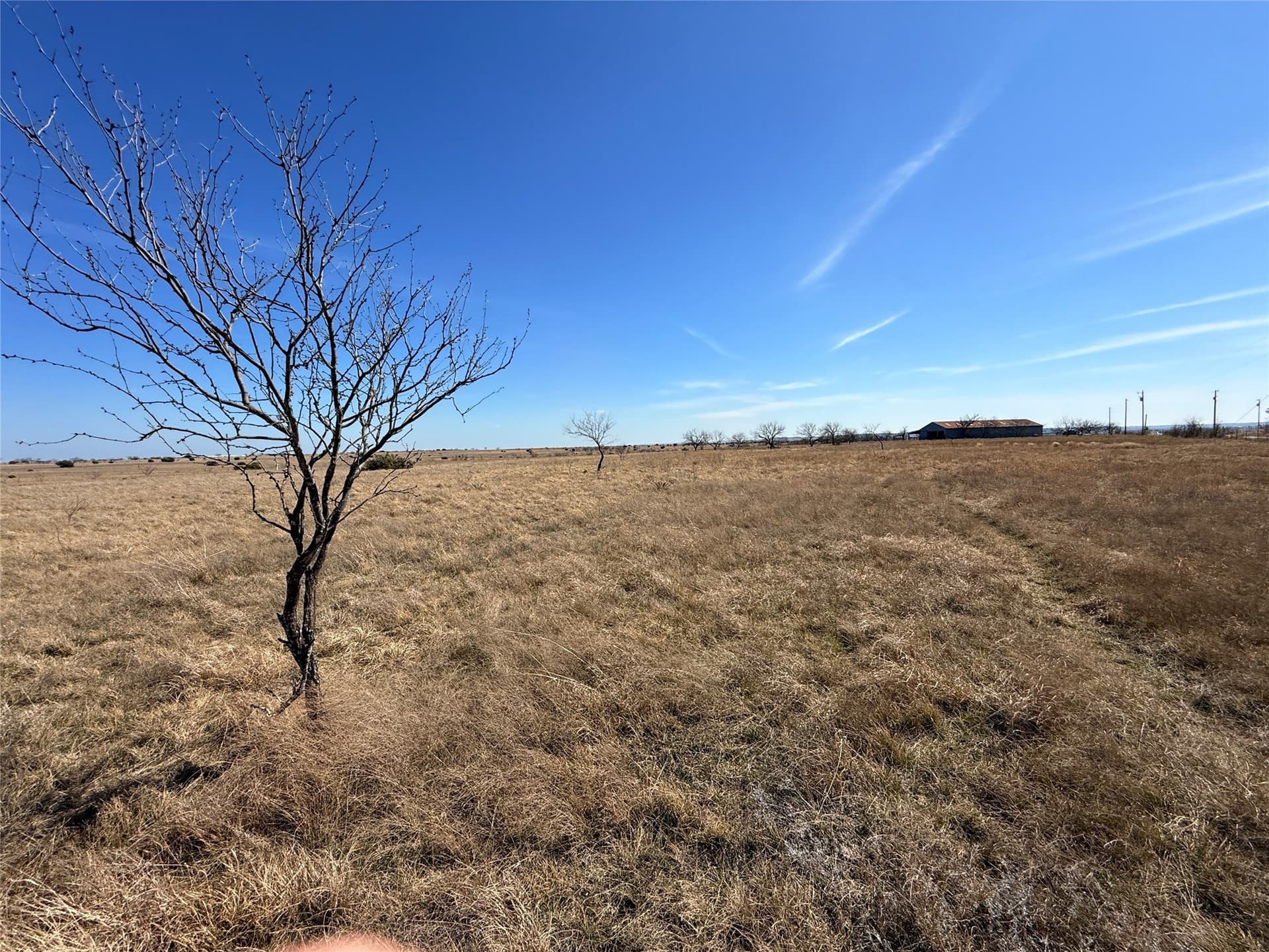 19 acres in Hamilton County - photo 11