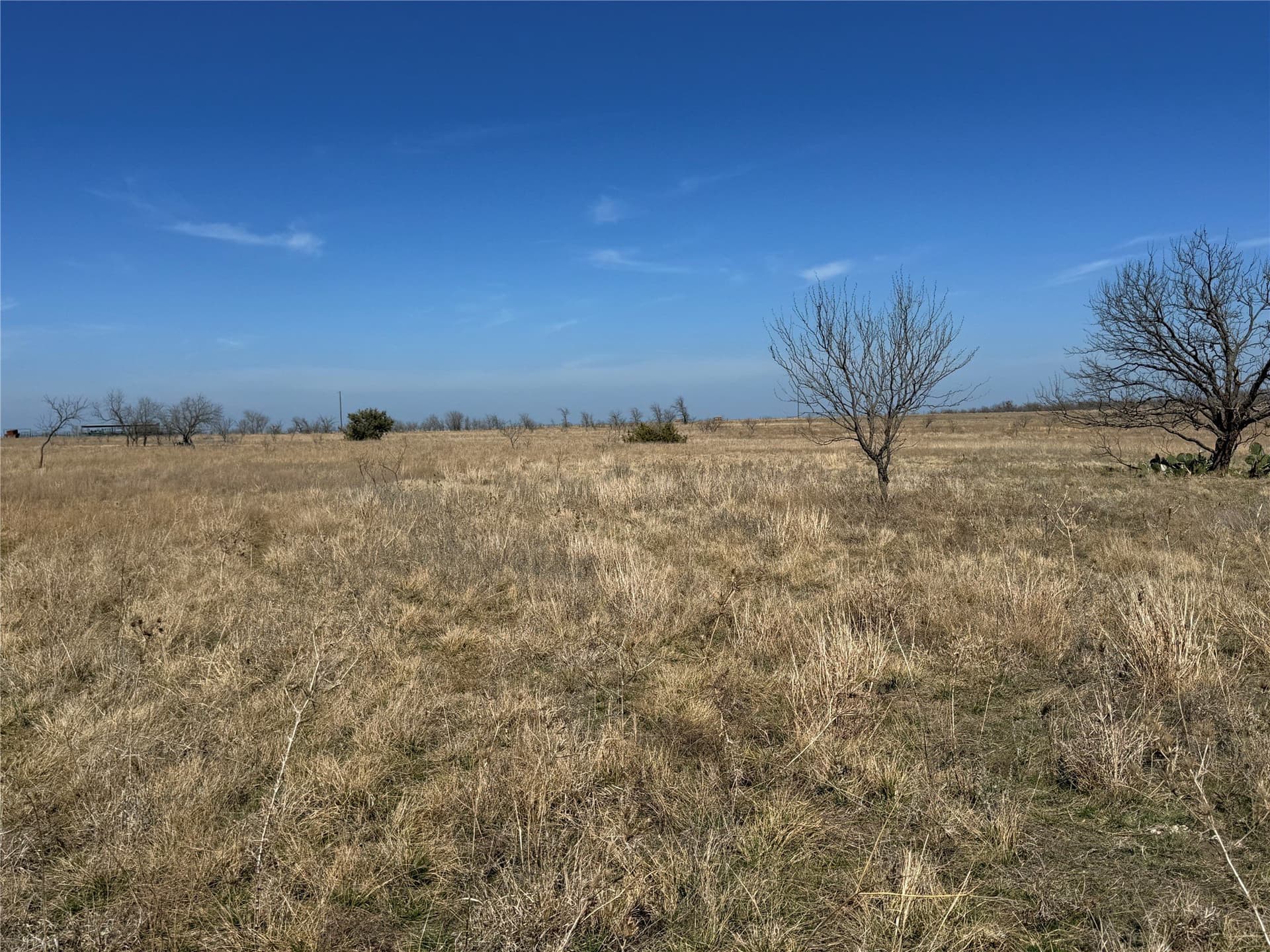 19 acres in Hamilton County - photo 3