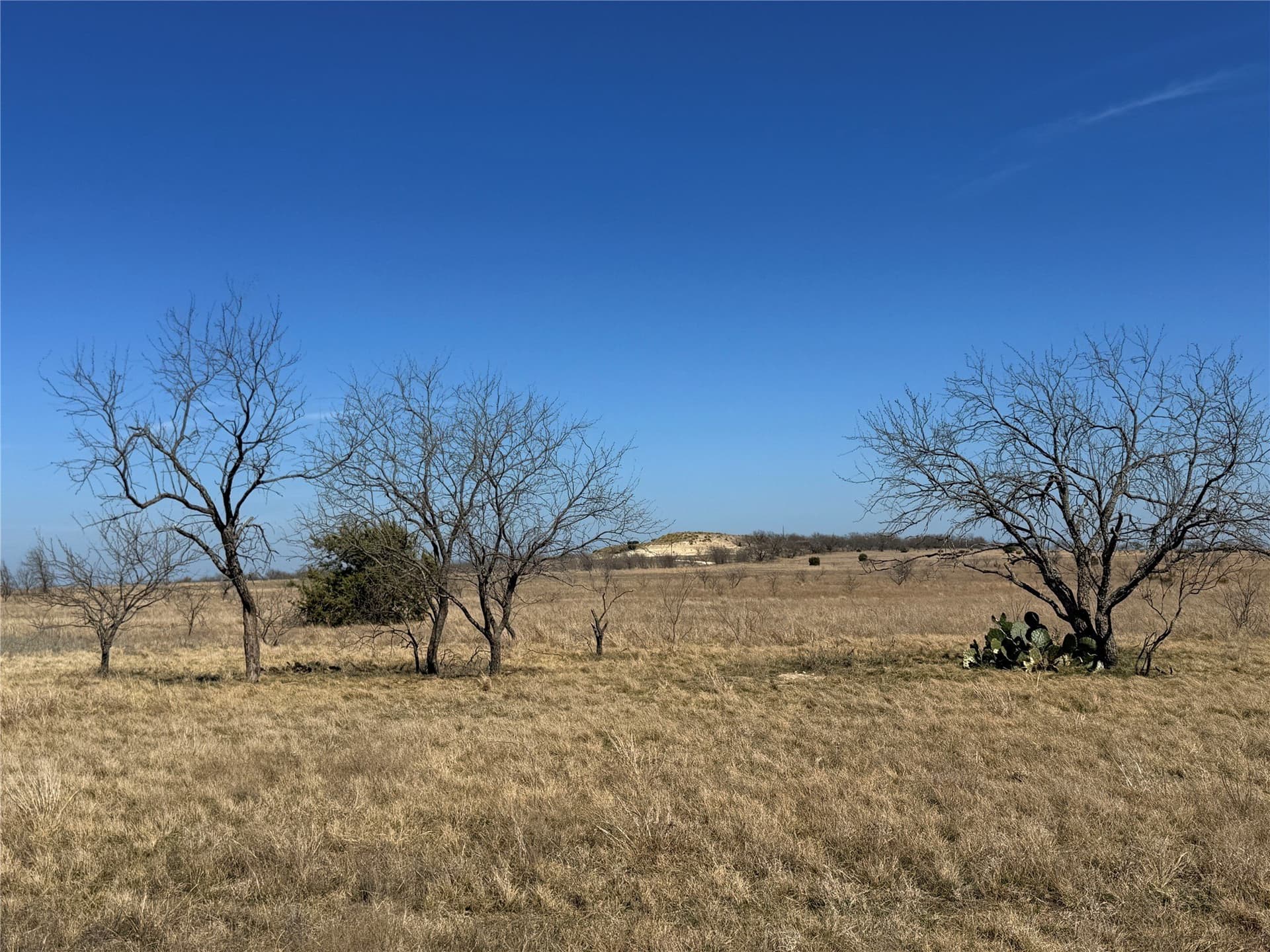 19 acres in Hamilton County - photo 5