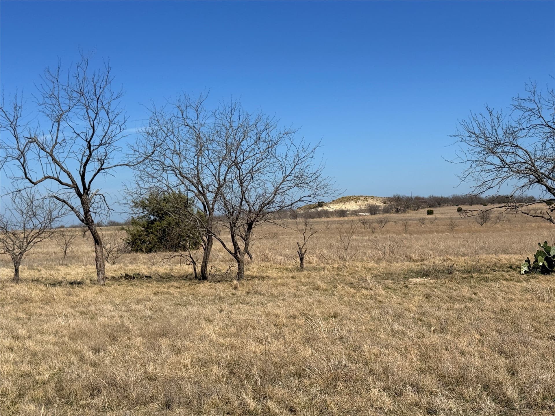 19 acres in Hamilton County - photo 6