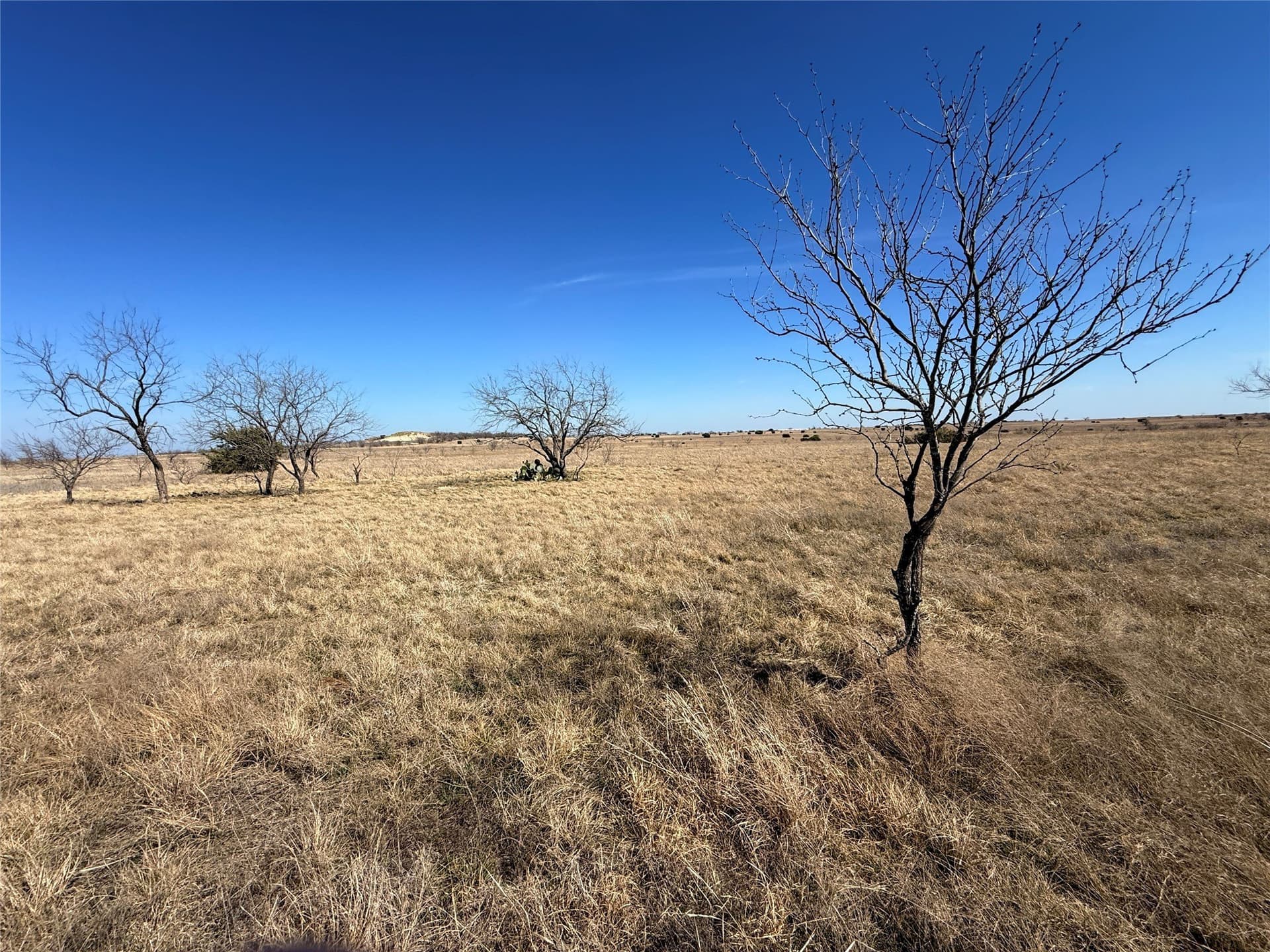 19 acres in Hamilton County - photo 10