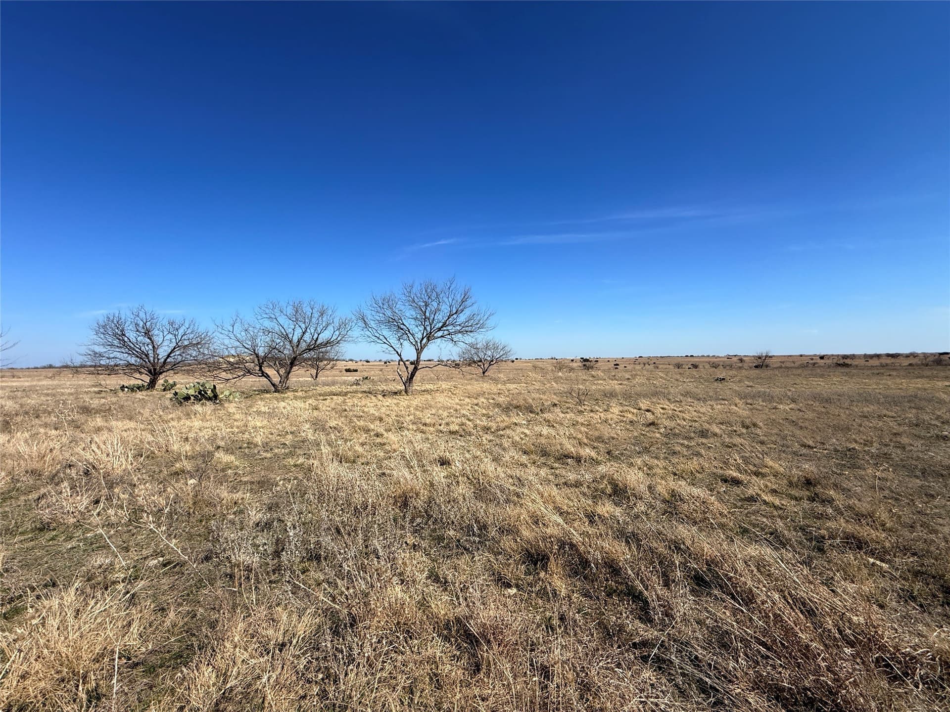 19 acres in Hamilton County - photo 4