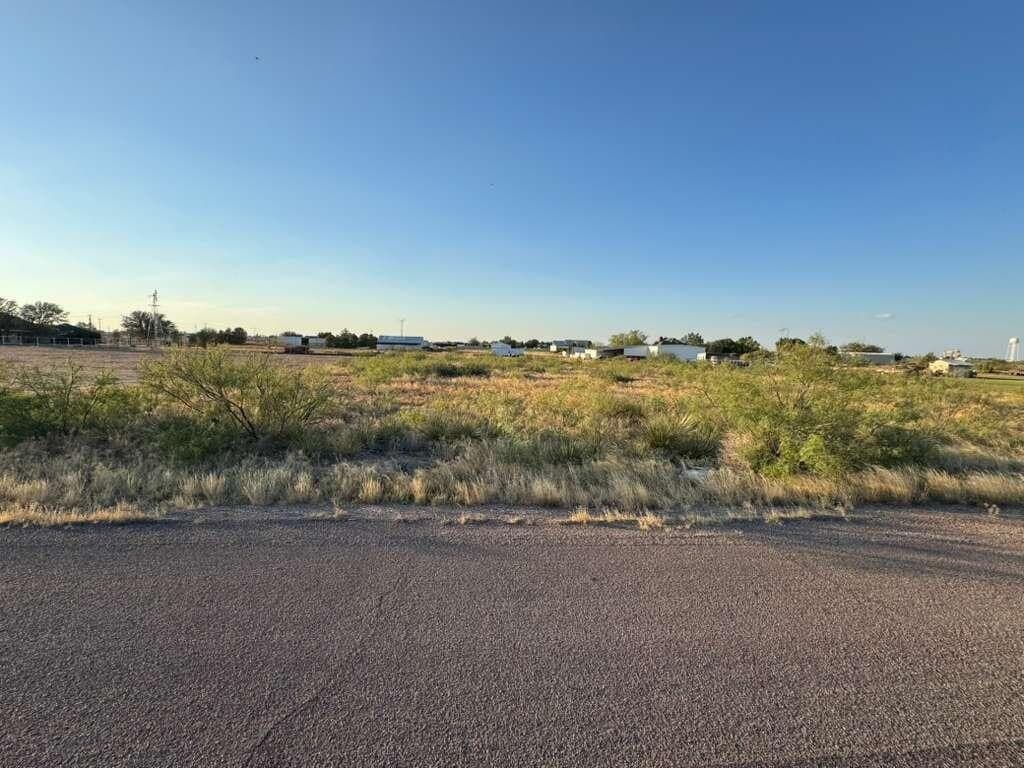 1.25 acres in Ector County - photo 4