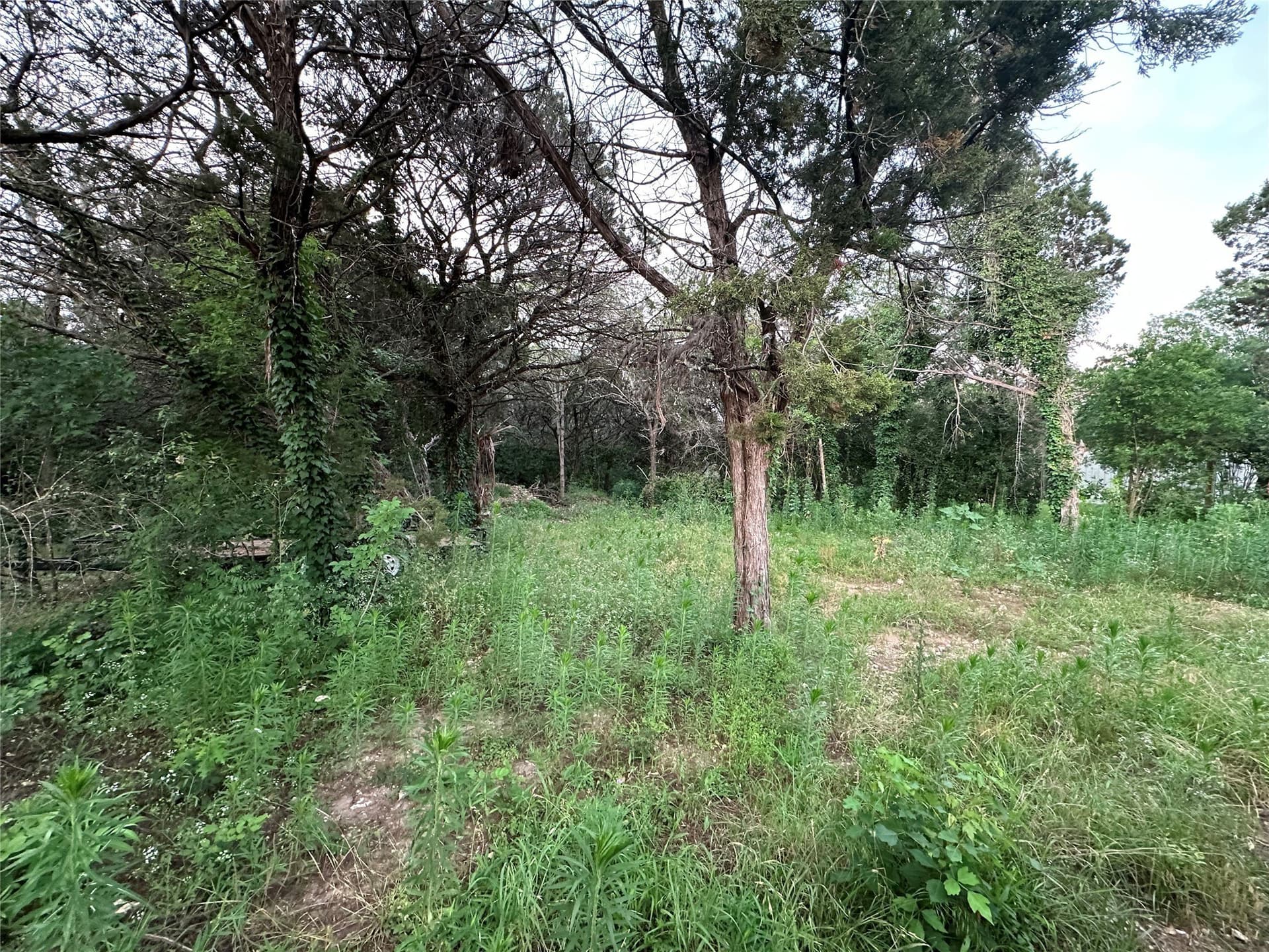 0.4 acres in Hill County gallery image 3