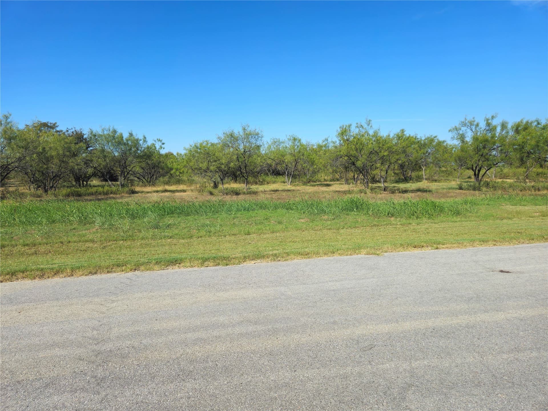 1.26 acres in Navarro County - photo 6
