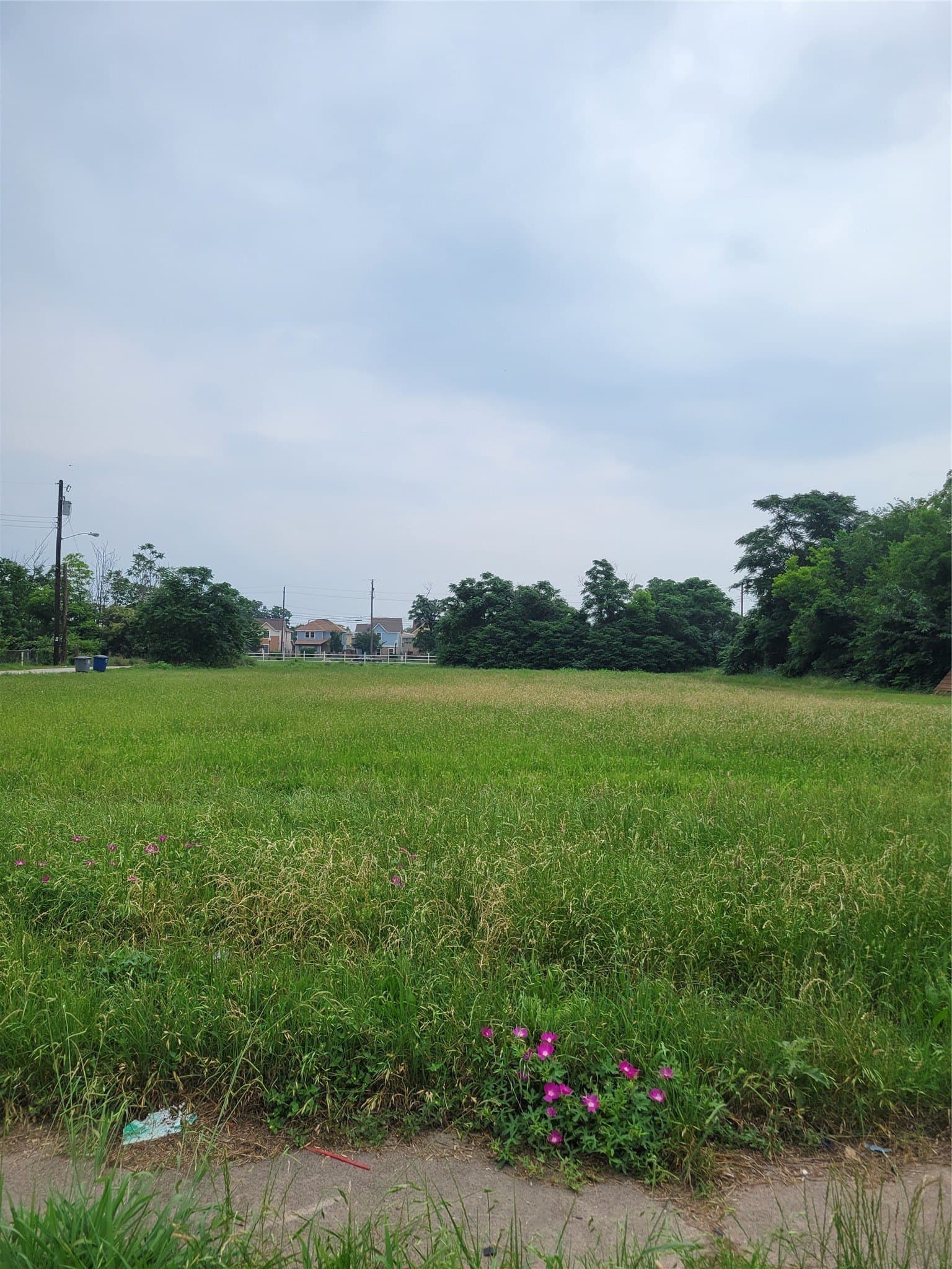 1 acres in Dallas County