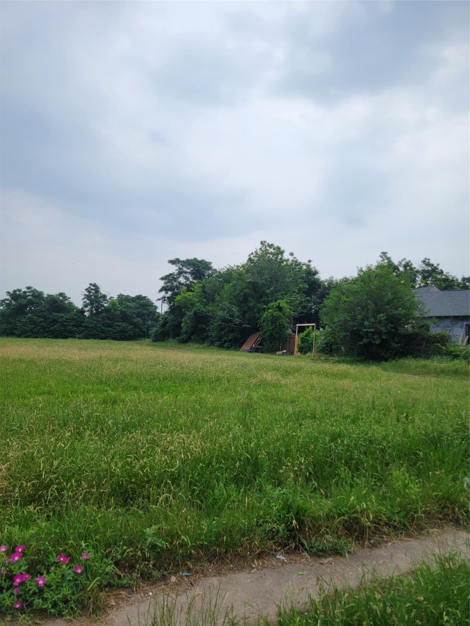 1 acres in Dallas County - photo 3