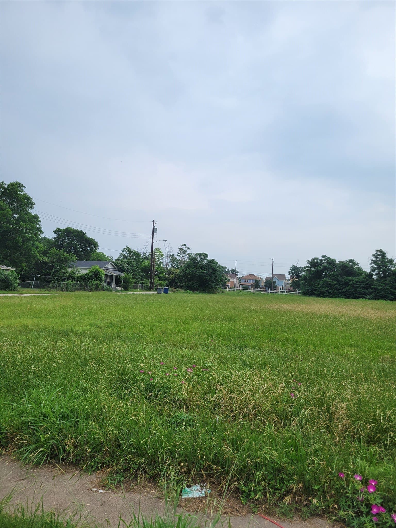 1 acres in Dallas County - photo 2