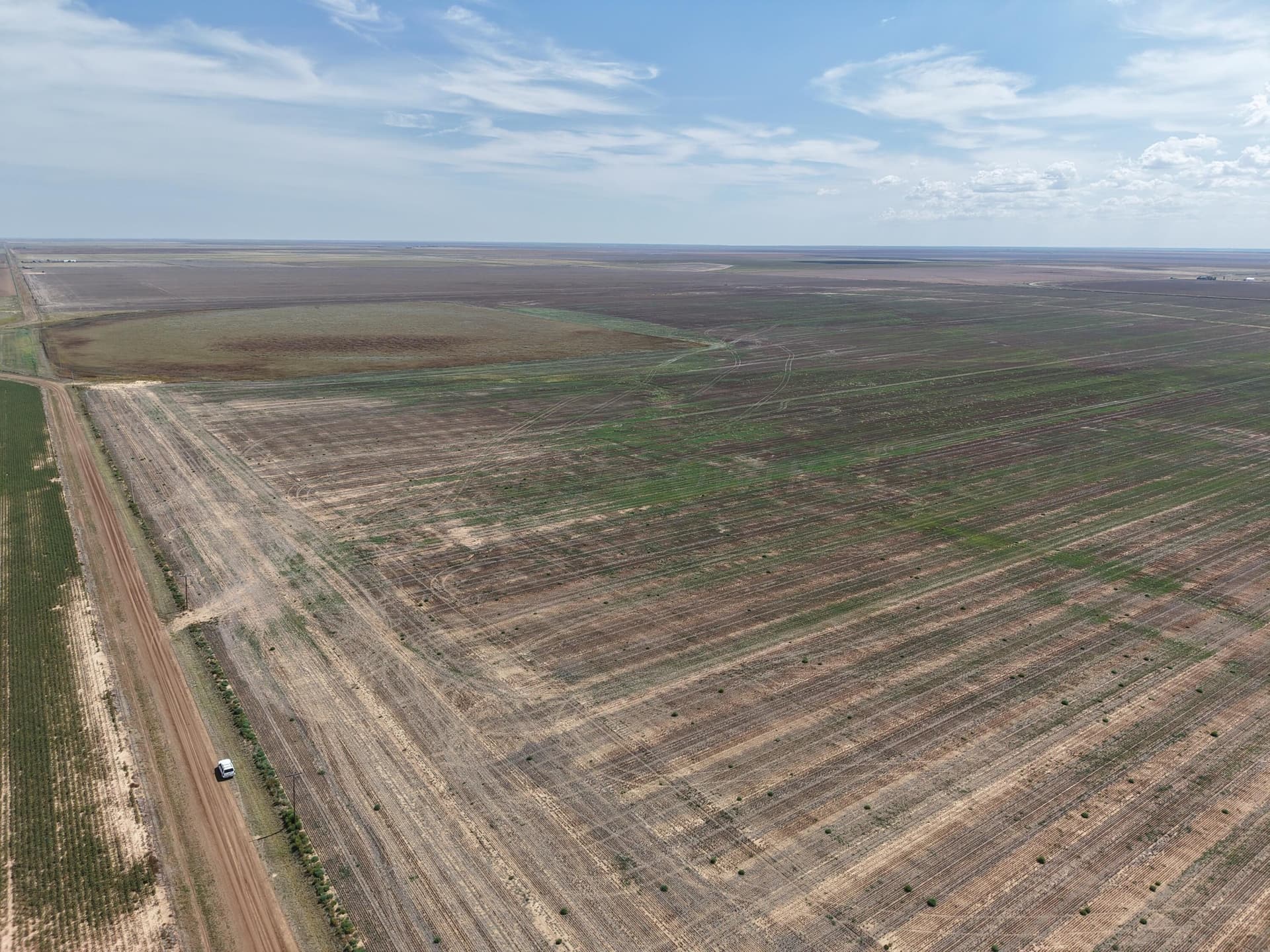 63 acres in Randall County gallery image 4