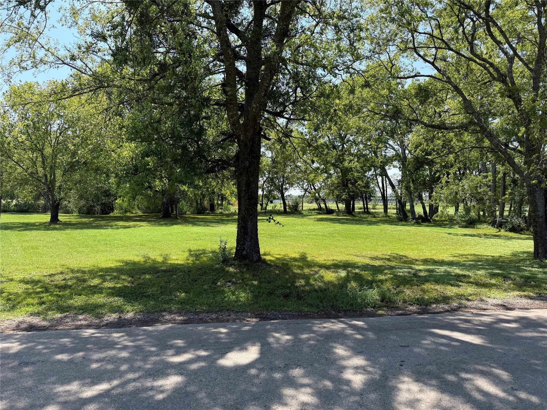 3 acres in Rains County - photo 10