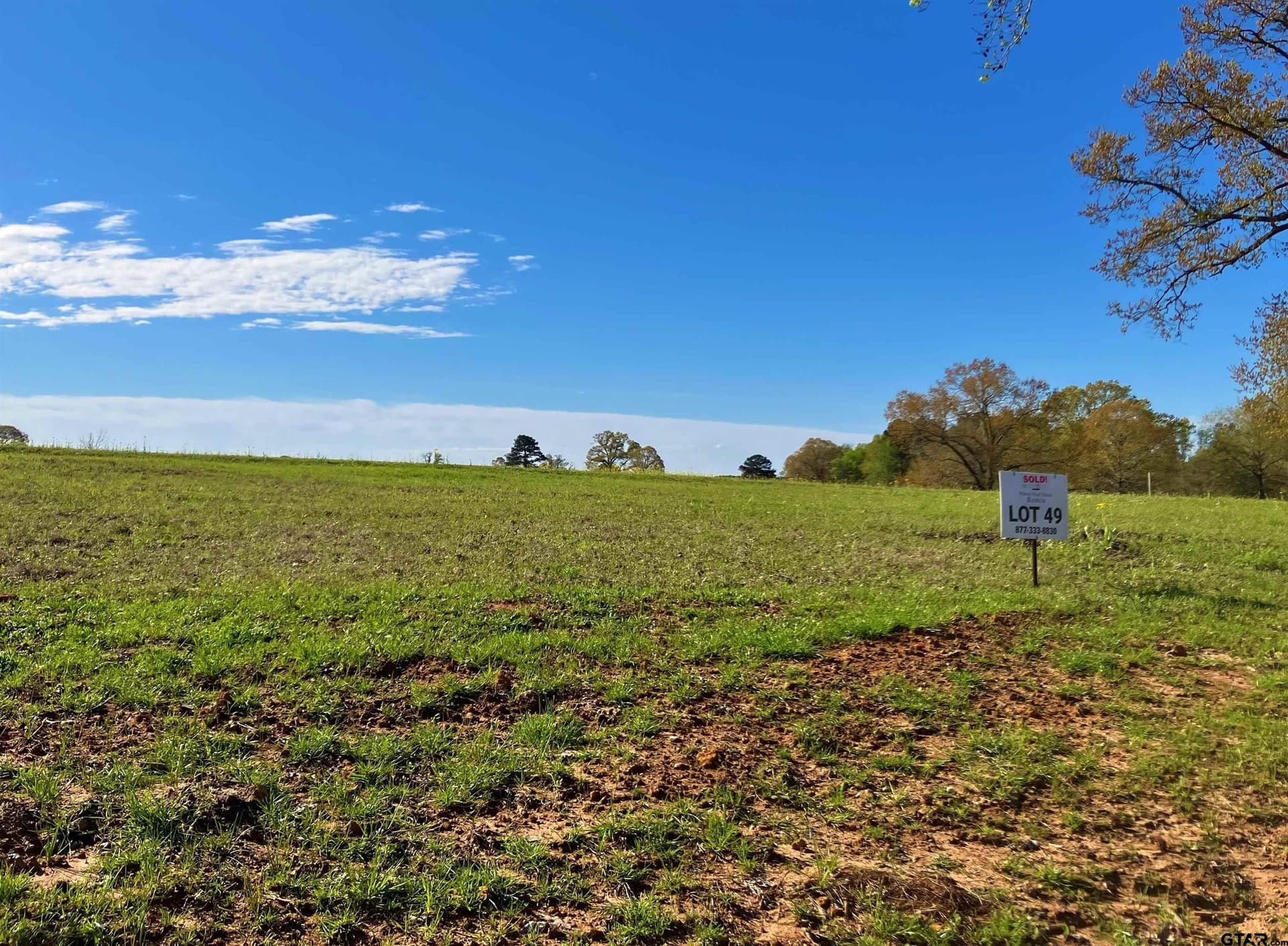 2 acres in Upshur County featured view