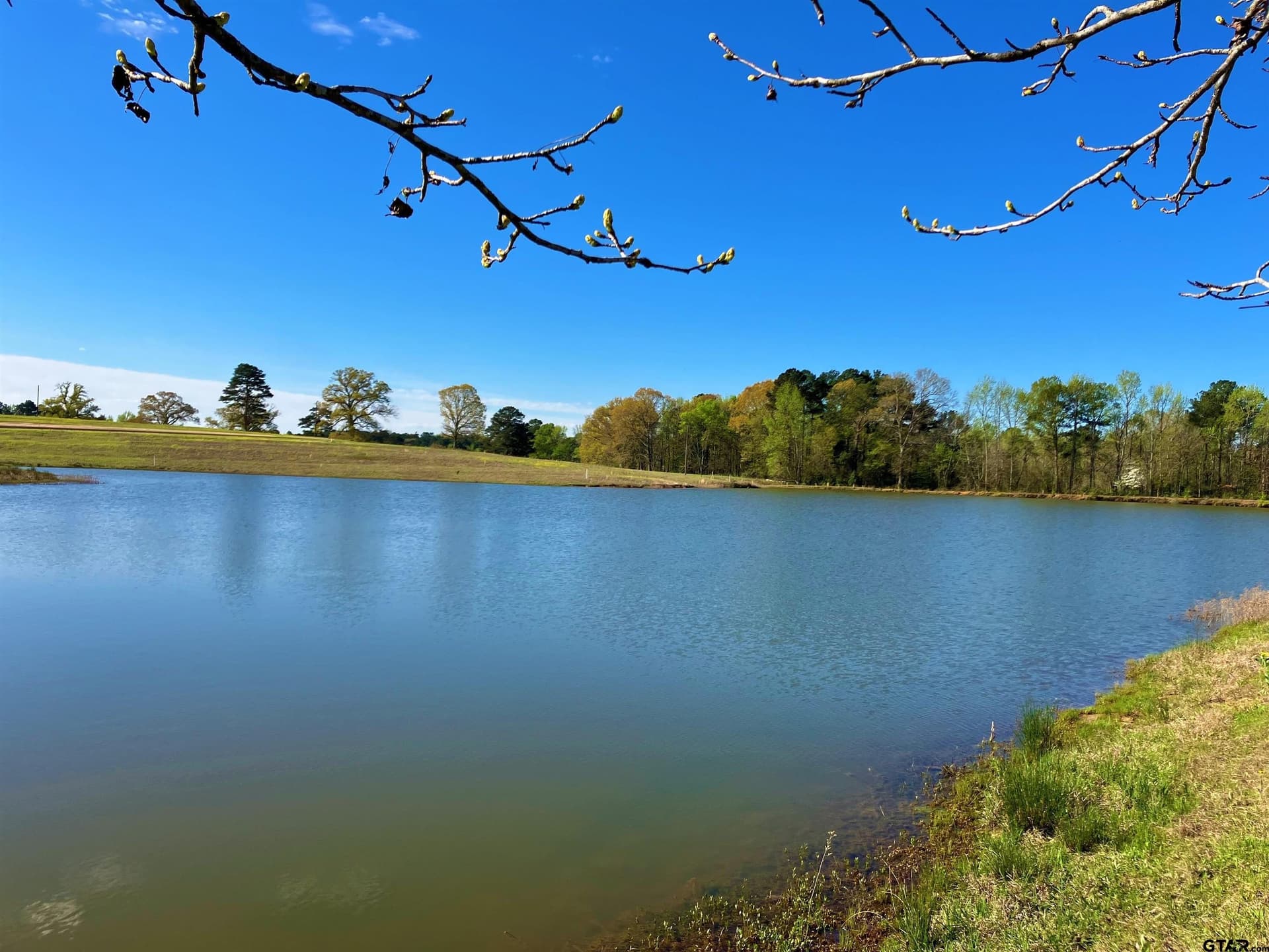 2 acres in Upshur County gallery image 4