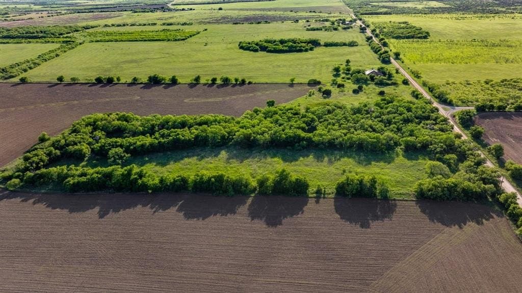 10.4 acres in Coleman County gallery image 2