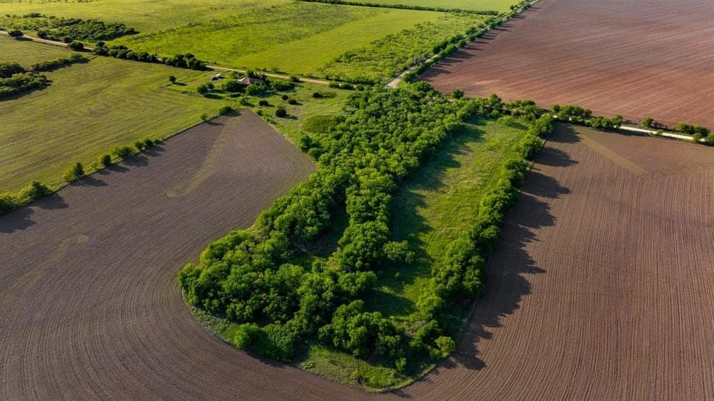 10.4 acres in Coleman County gallery image 3