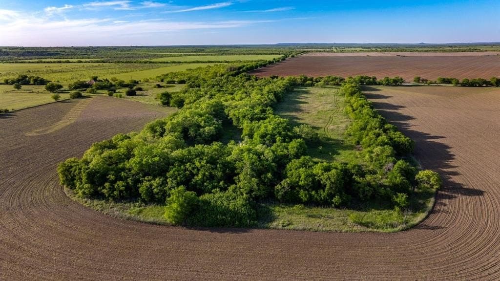 10.4 acres in Coleman County gallery image 4
