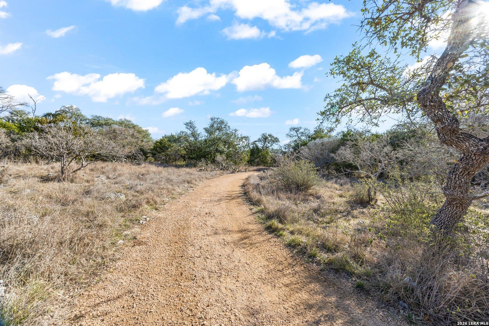 2.28 acres in Comal County - photo 43