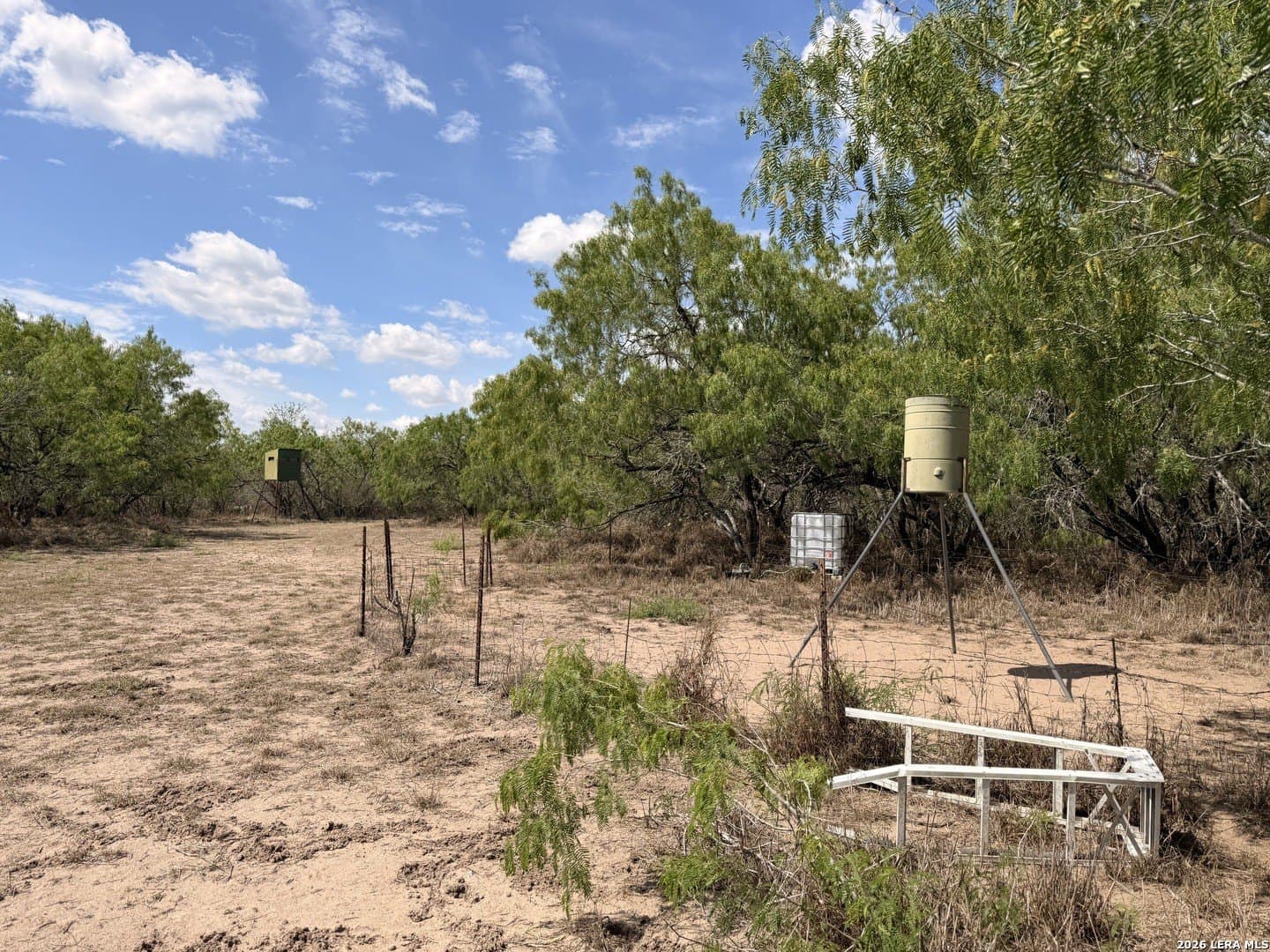 47 acres in Live Oak County - photo 22