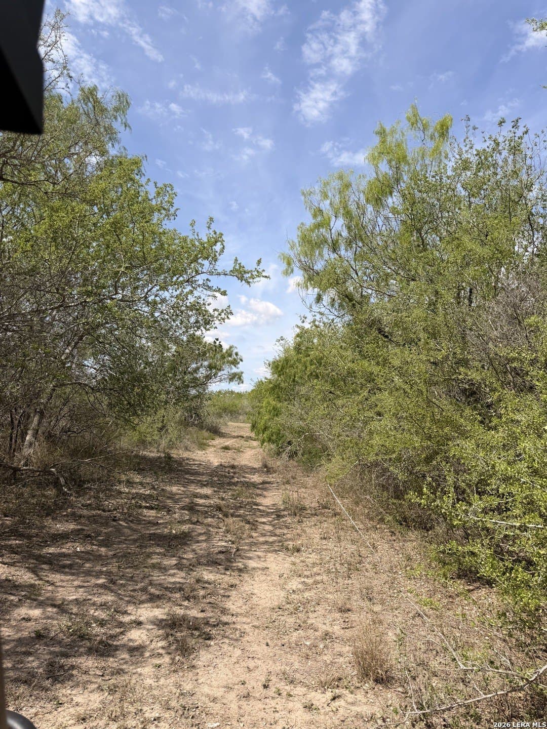 47 acres in Live Oak County - photo 28