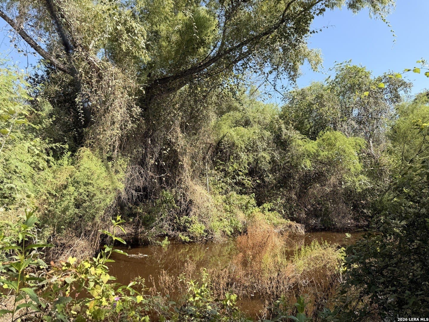 47 acres in Live Oak County - photo 6