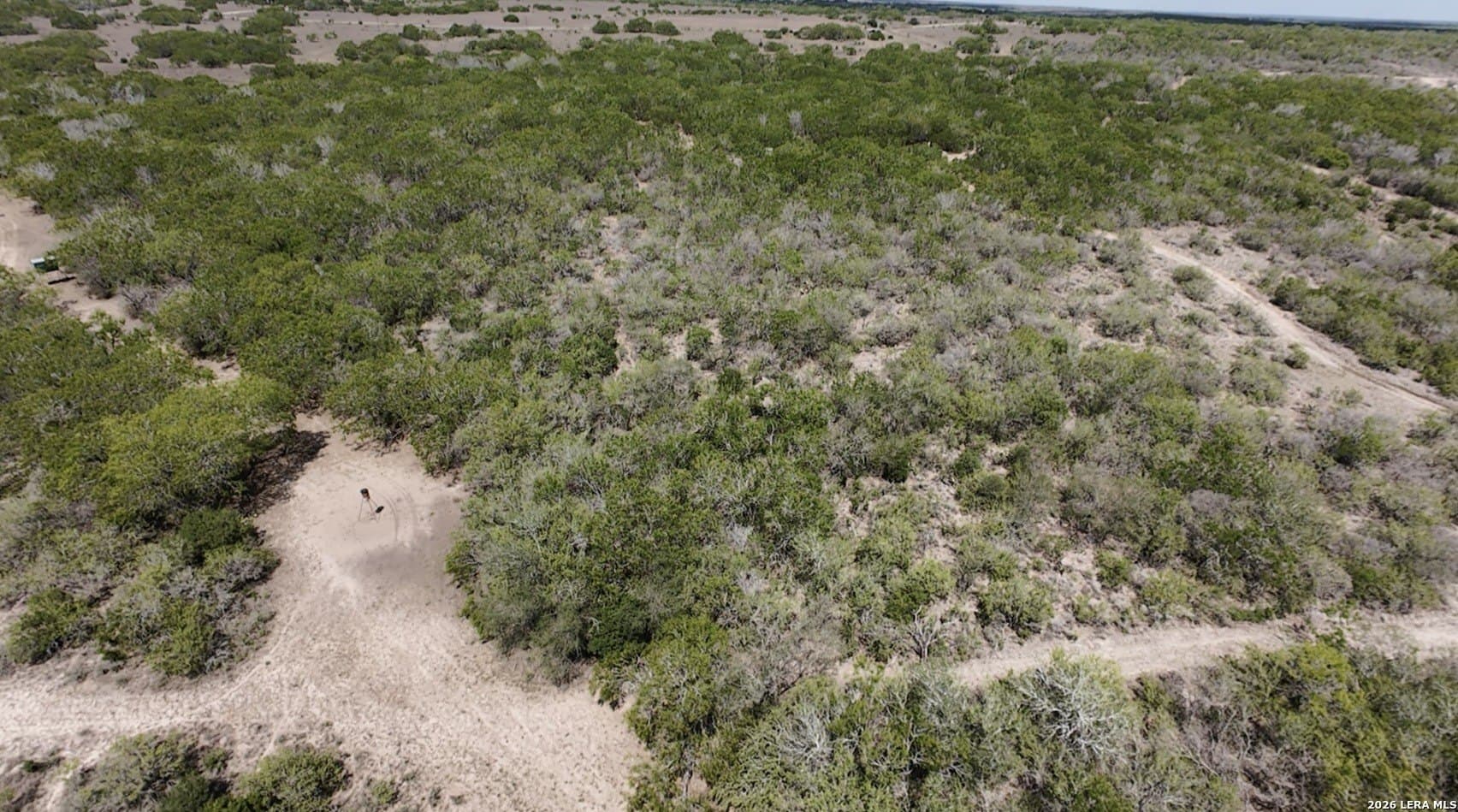47 acres in Live Oak County - photo 7