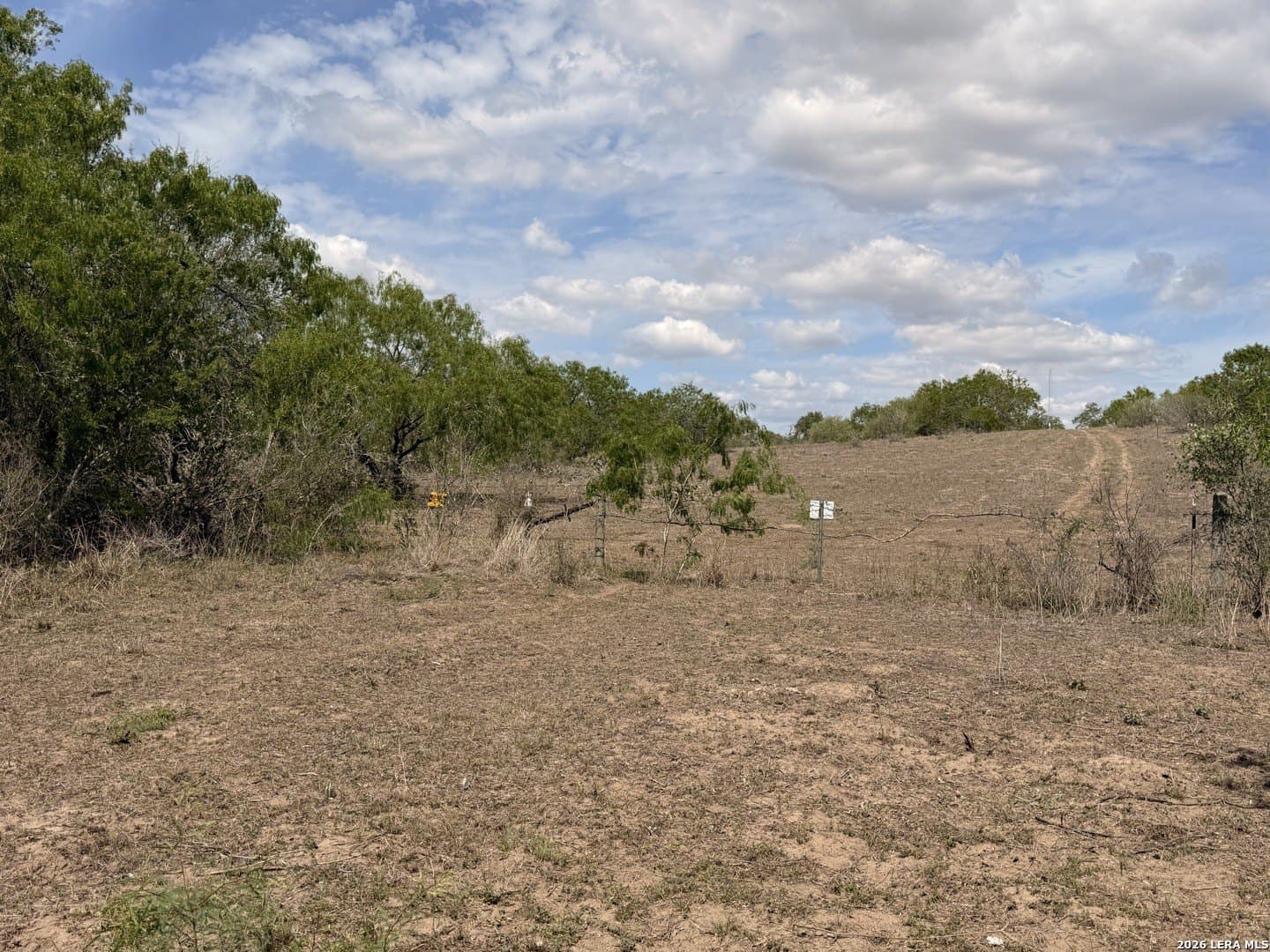 47 acres in Live Oak County - photo 33