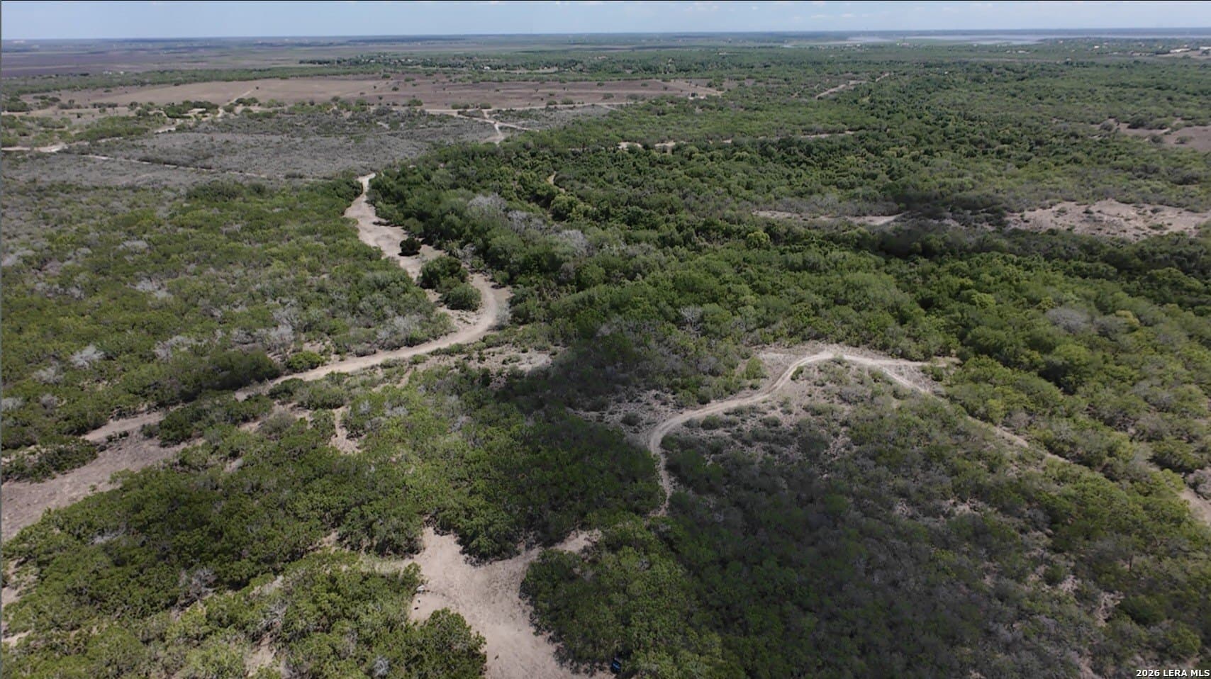 47 acres in Live Oak County - photo 9