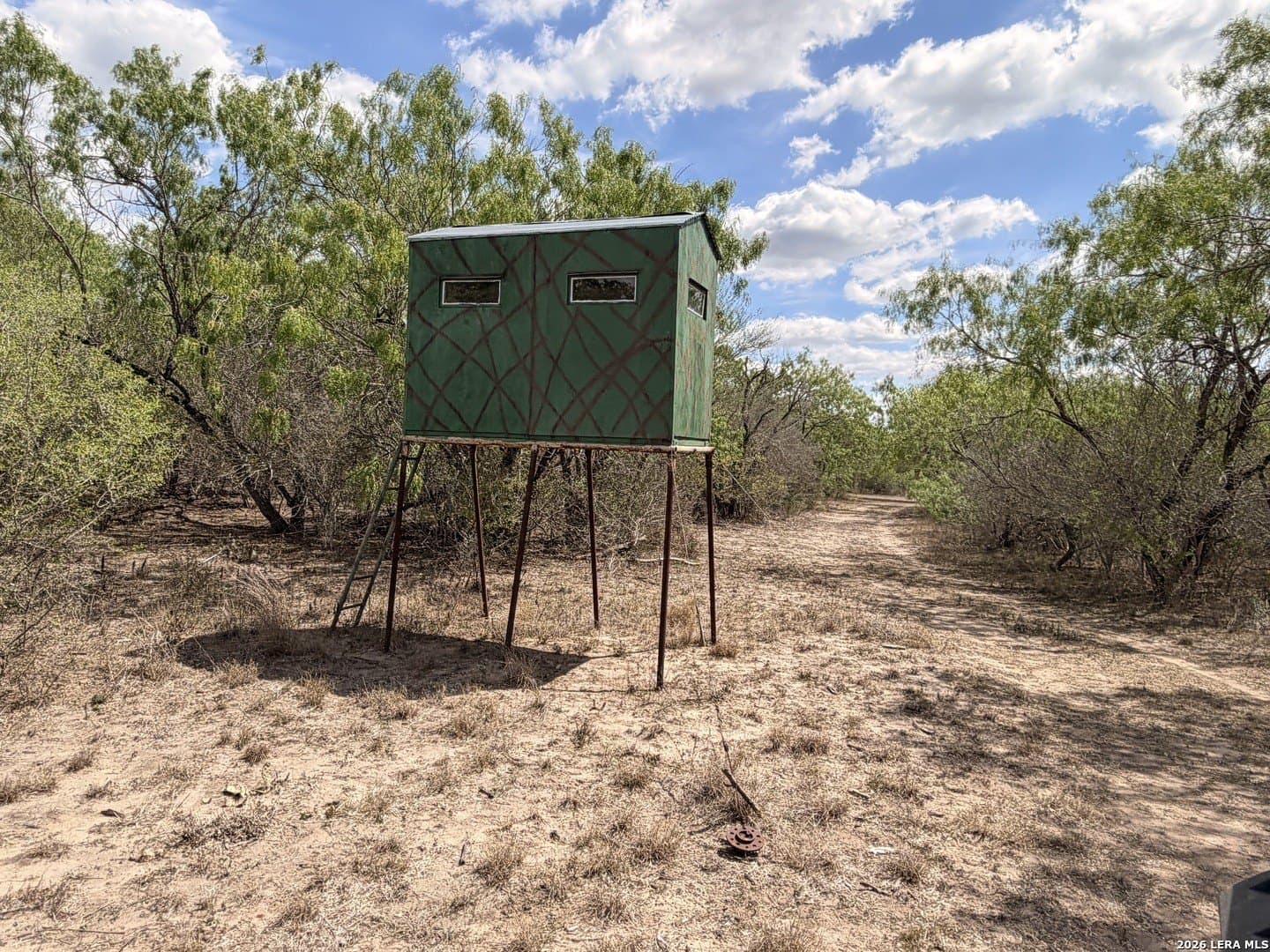 47 acres in Live Oak County - photo 30