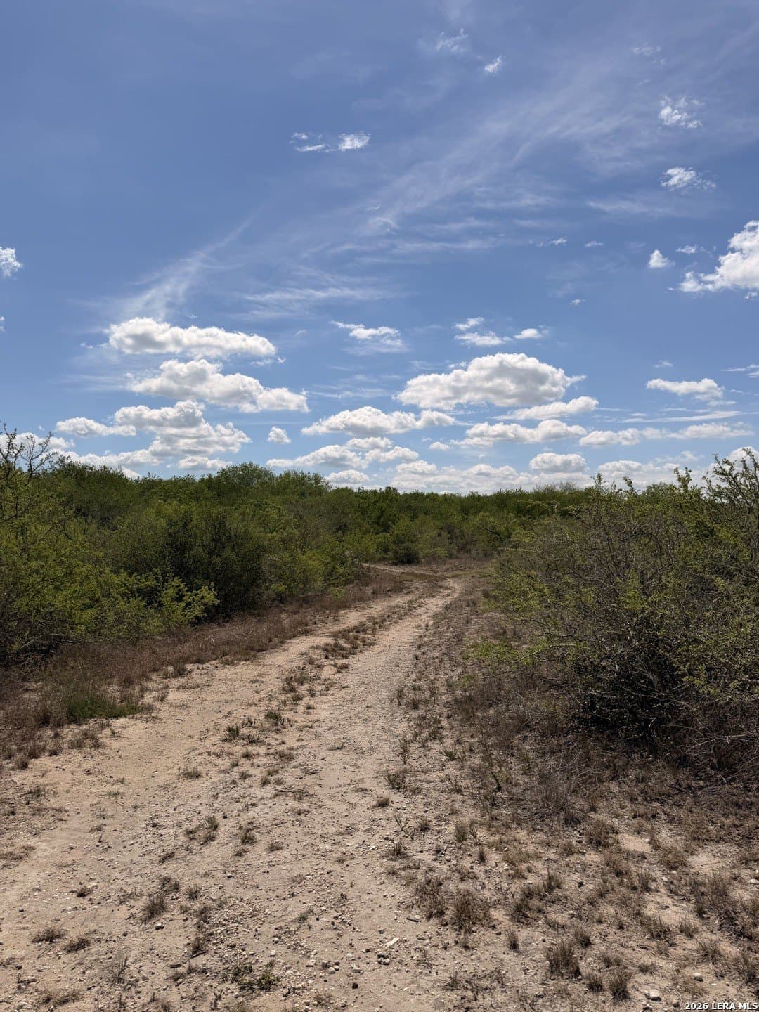 47 acres in Live Oak County - photo 26