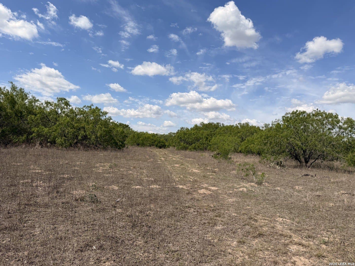 47 acres in Live Oak County - photo 19