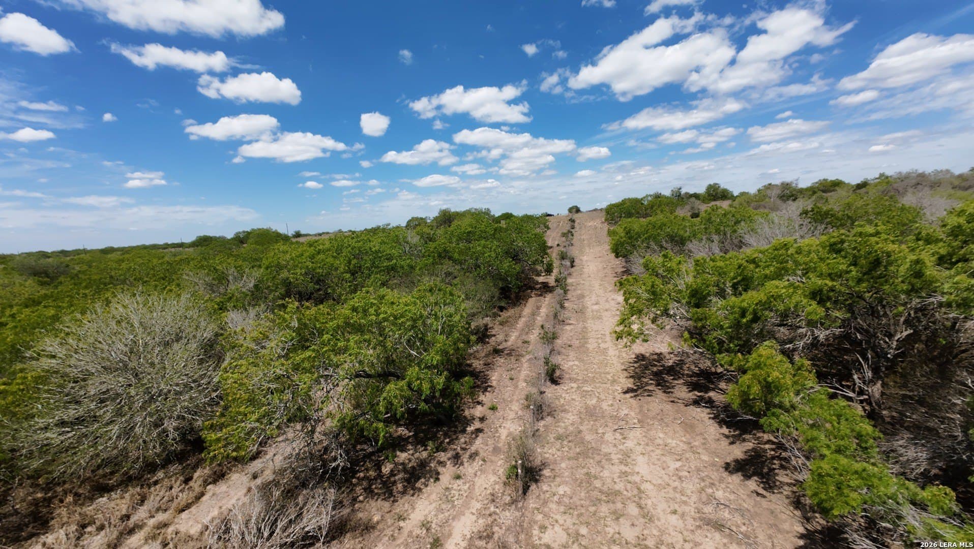 47 acres in Live Oak County - photo 2