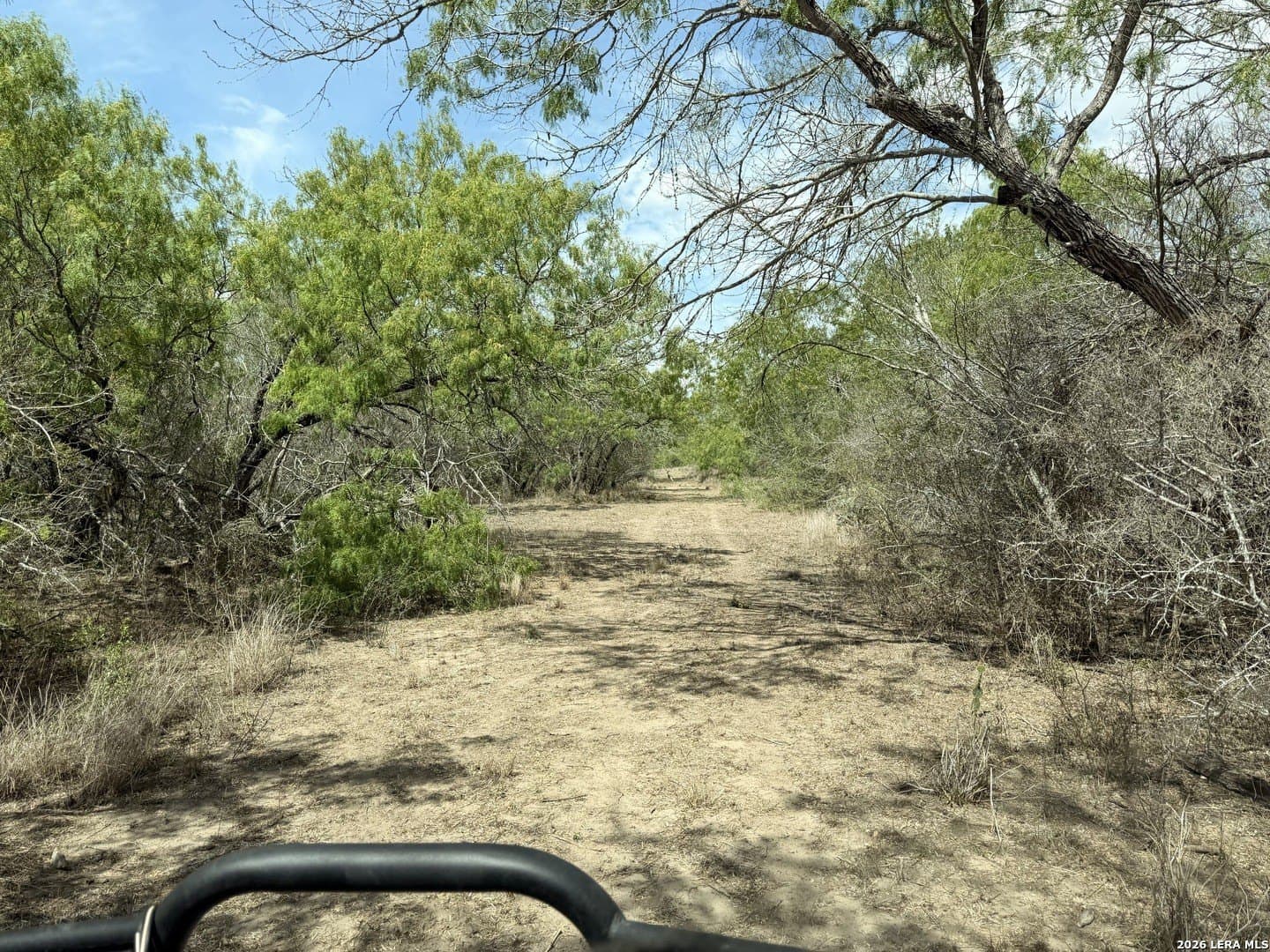 47 acres in Live Oak County - photo 32