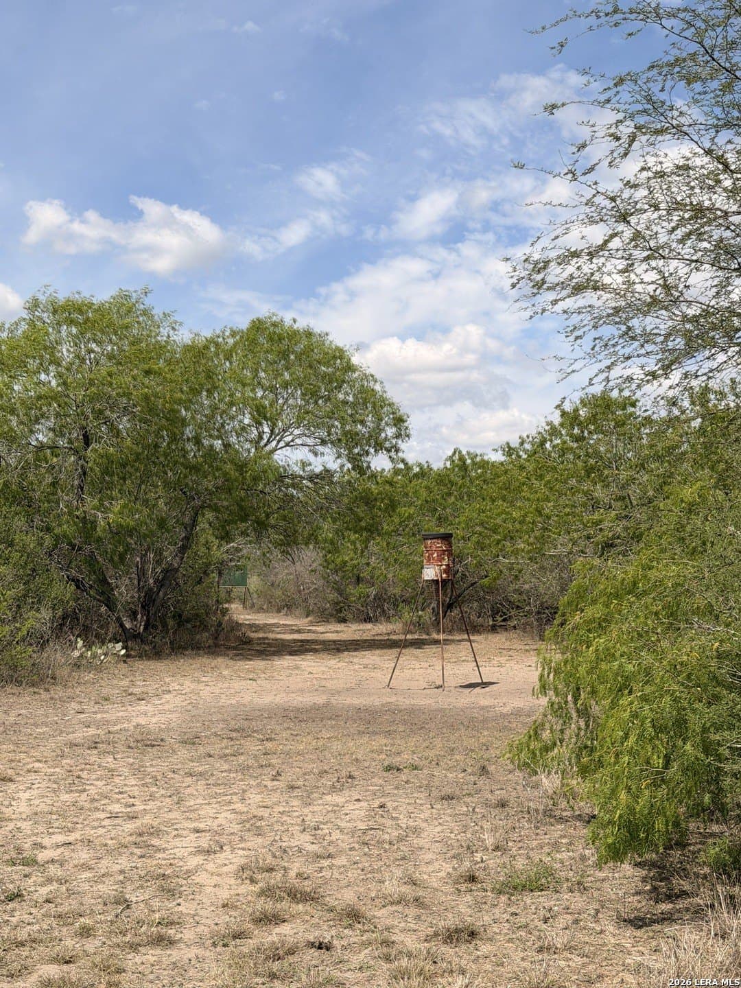 47 acres in Live Oak County - photo 29