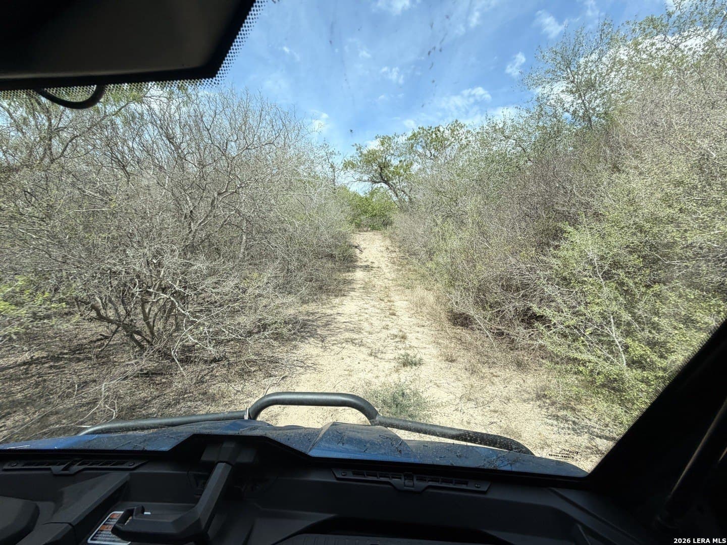 47 acres in Live Oak County - photo 31