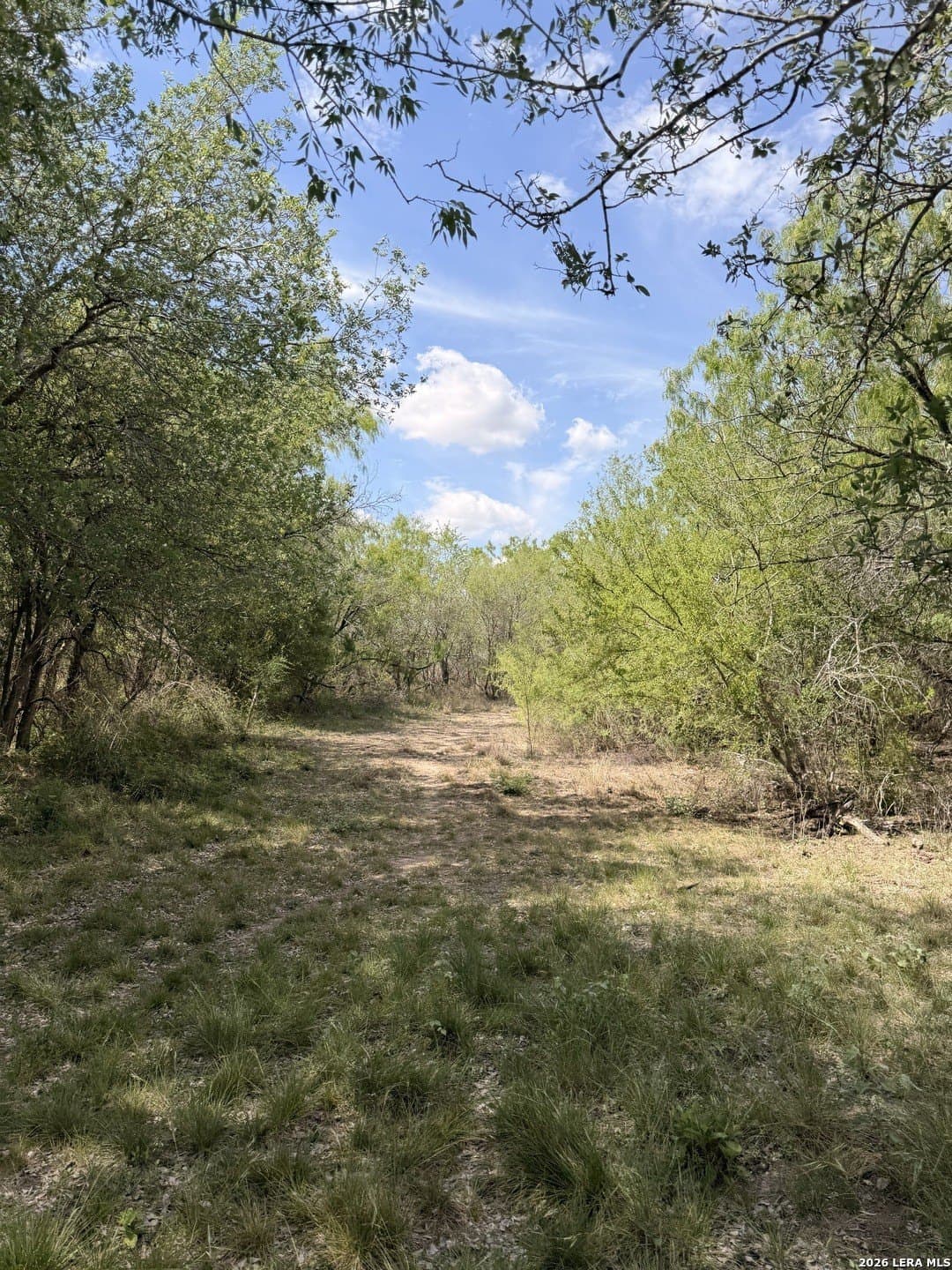 47 acres in Live Oak County - photo 27