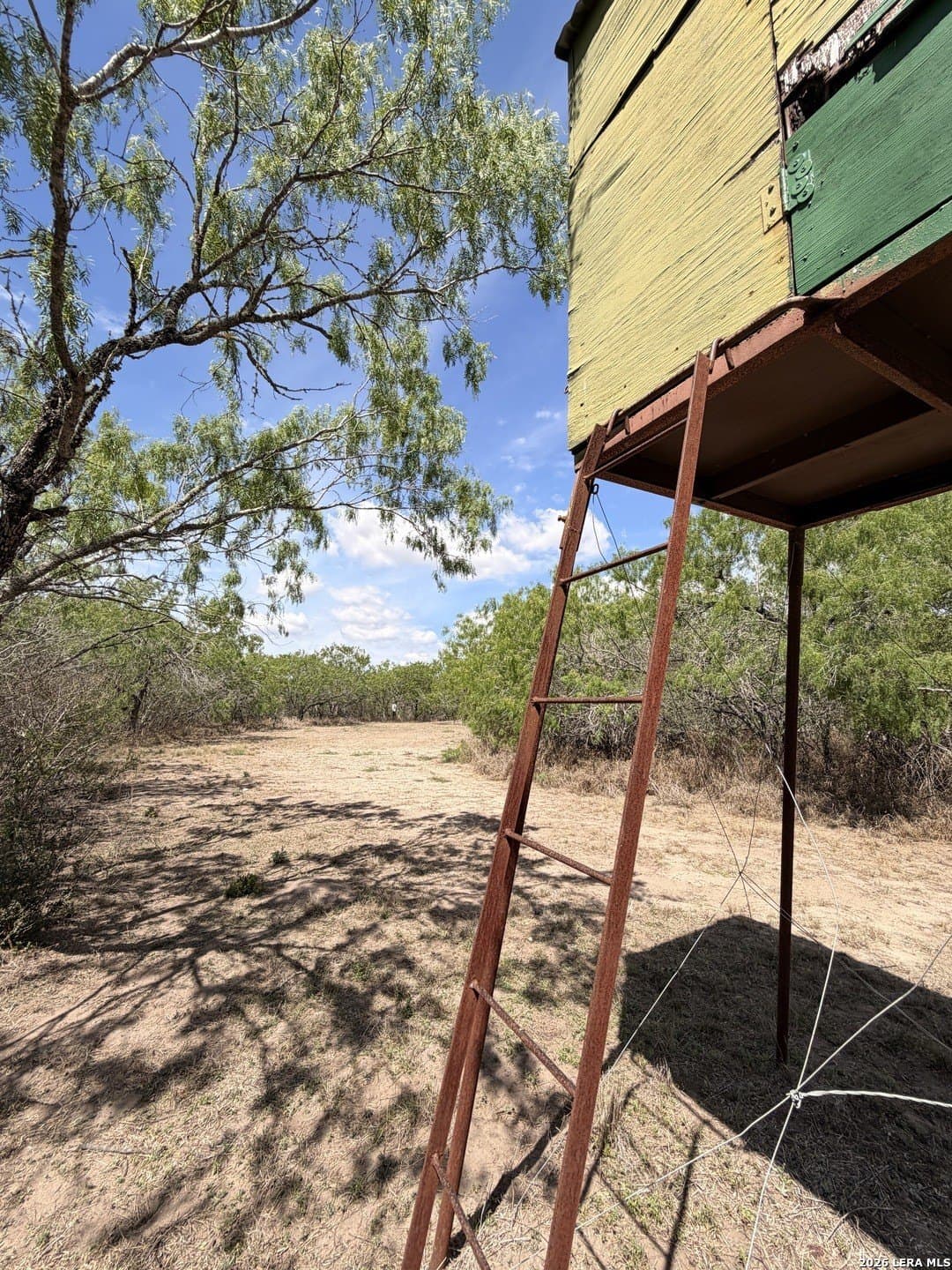 47 acres in Live Oak County - photo 25
