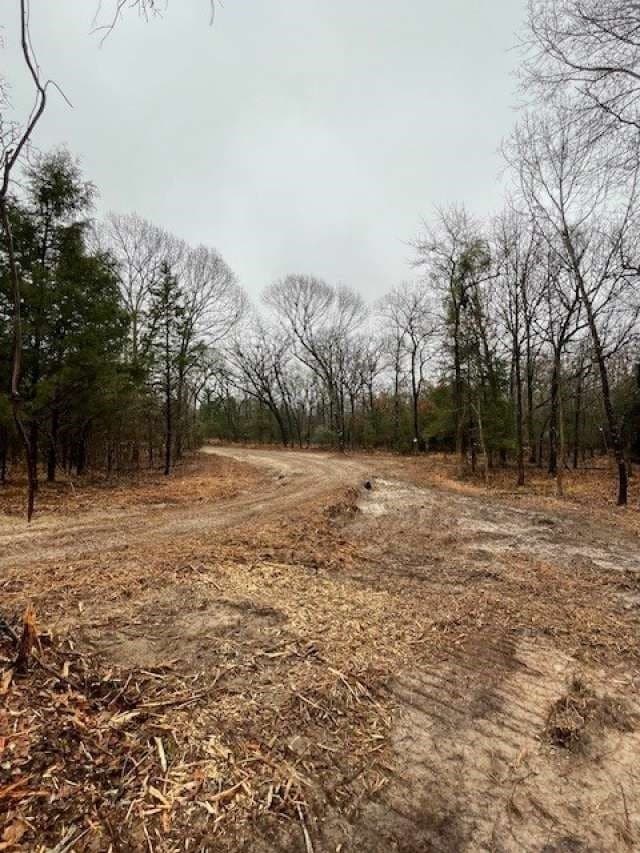 21.3 acres in Rains County gallery image 4