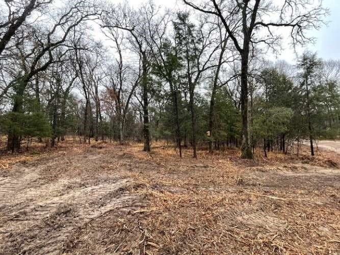 21.3 acres in Rains County featured view