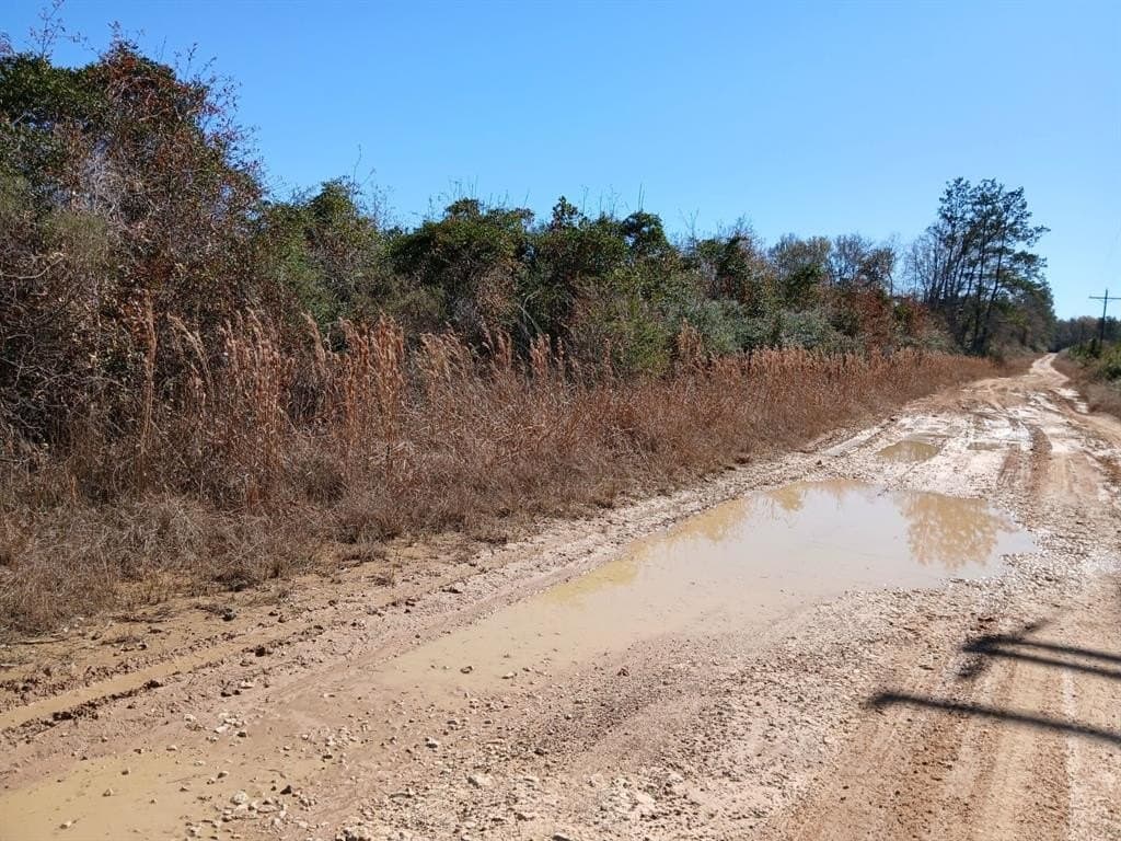 10 acres in Hardin County gallery image 2