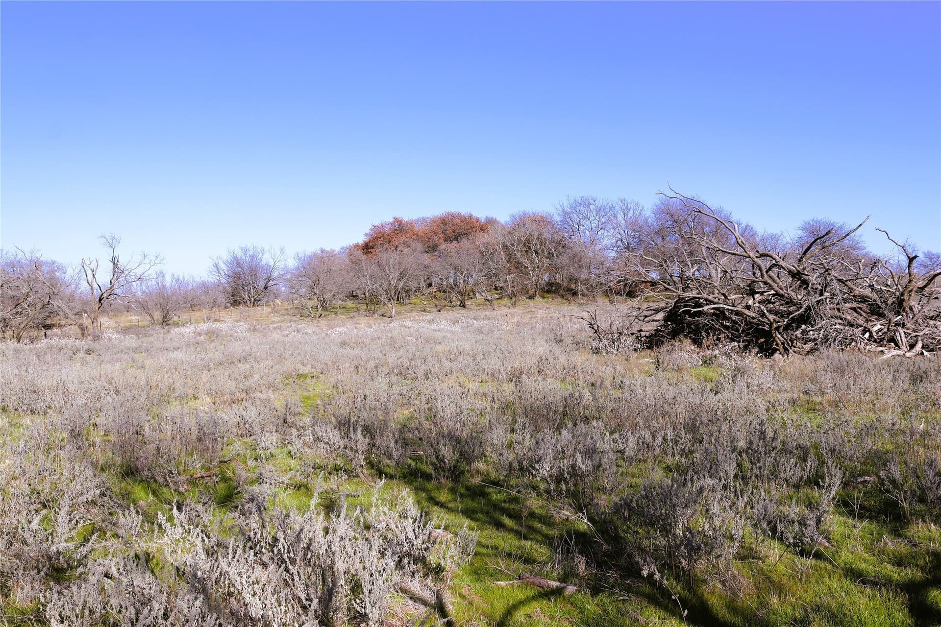 40 acres in Clay County - photo 21