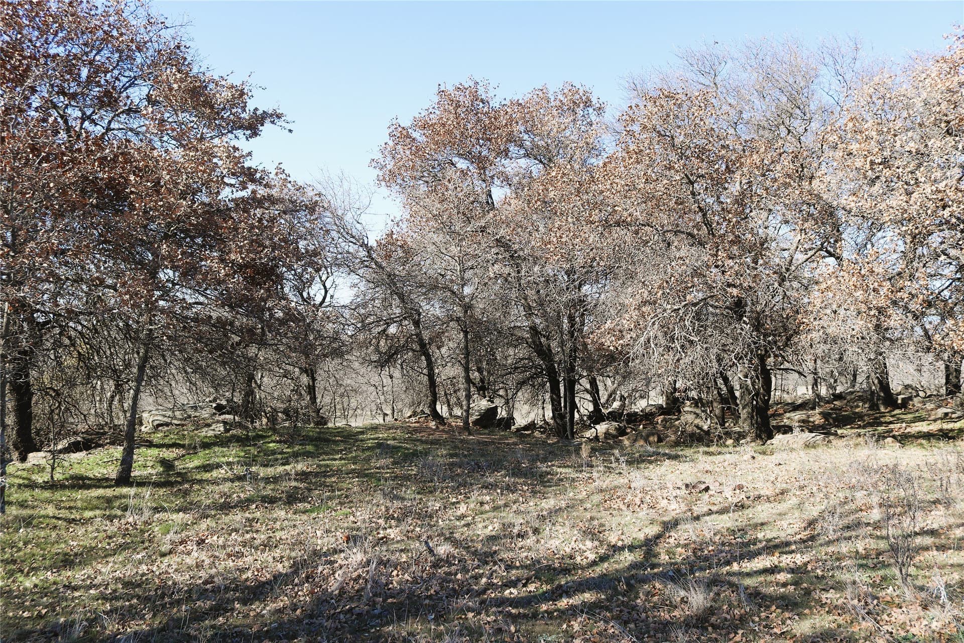 40 acres in Clay County - photo 18