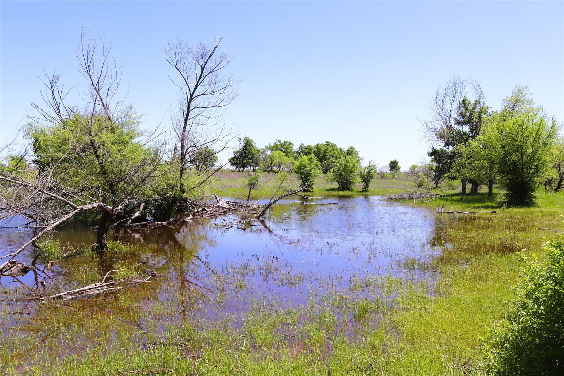 40 acres in Clay County - photo 3