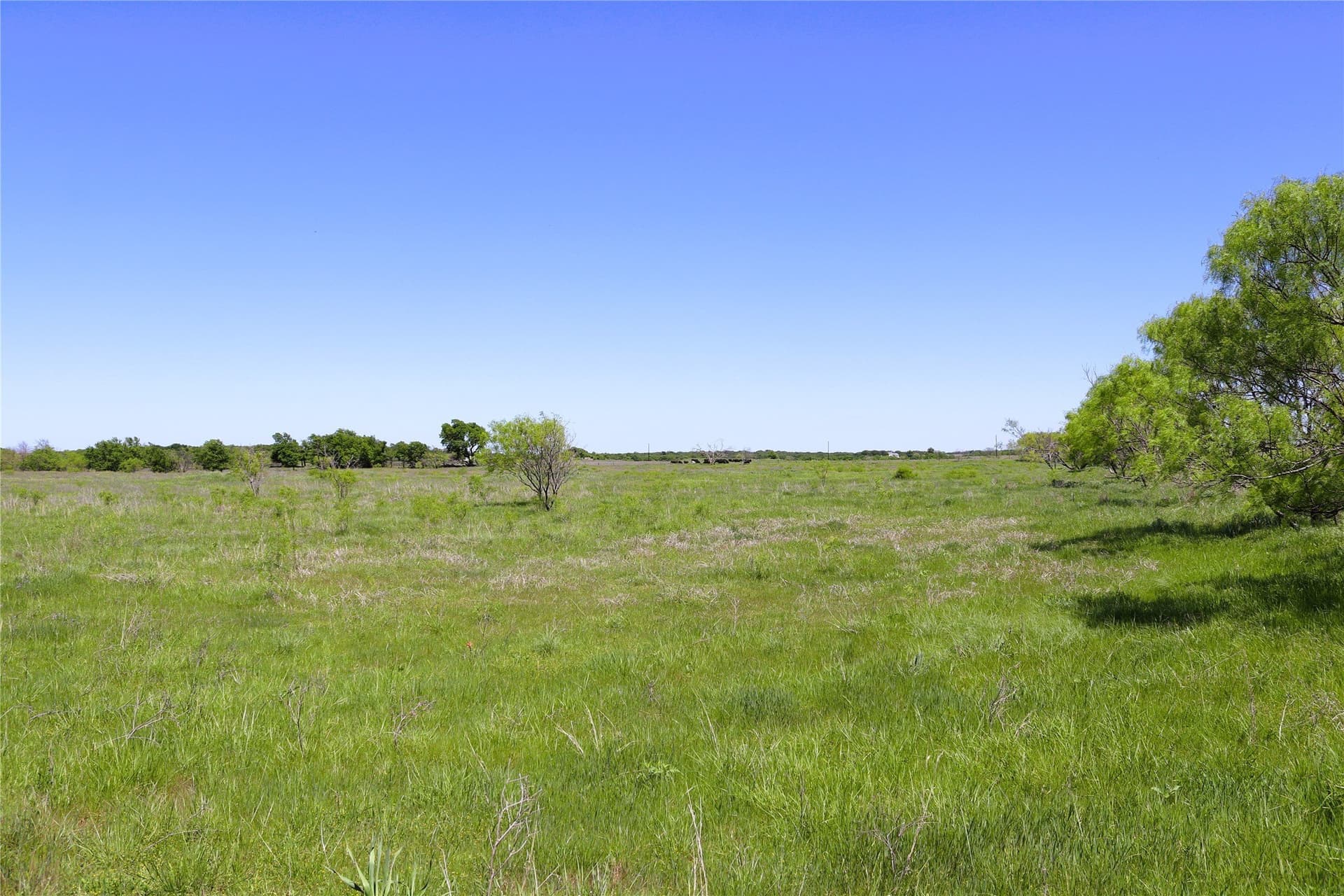 40 acres in Clay County - photo 12
