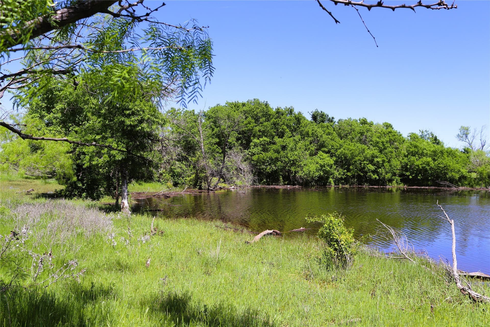 40 acres in Clay County - photo 2