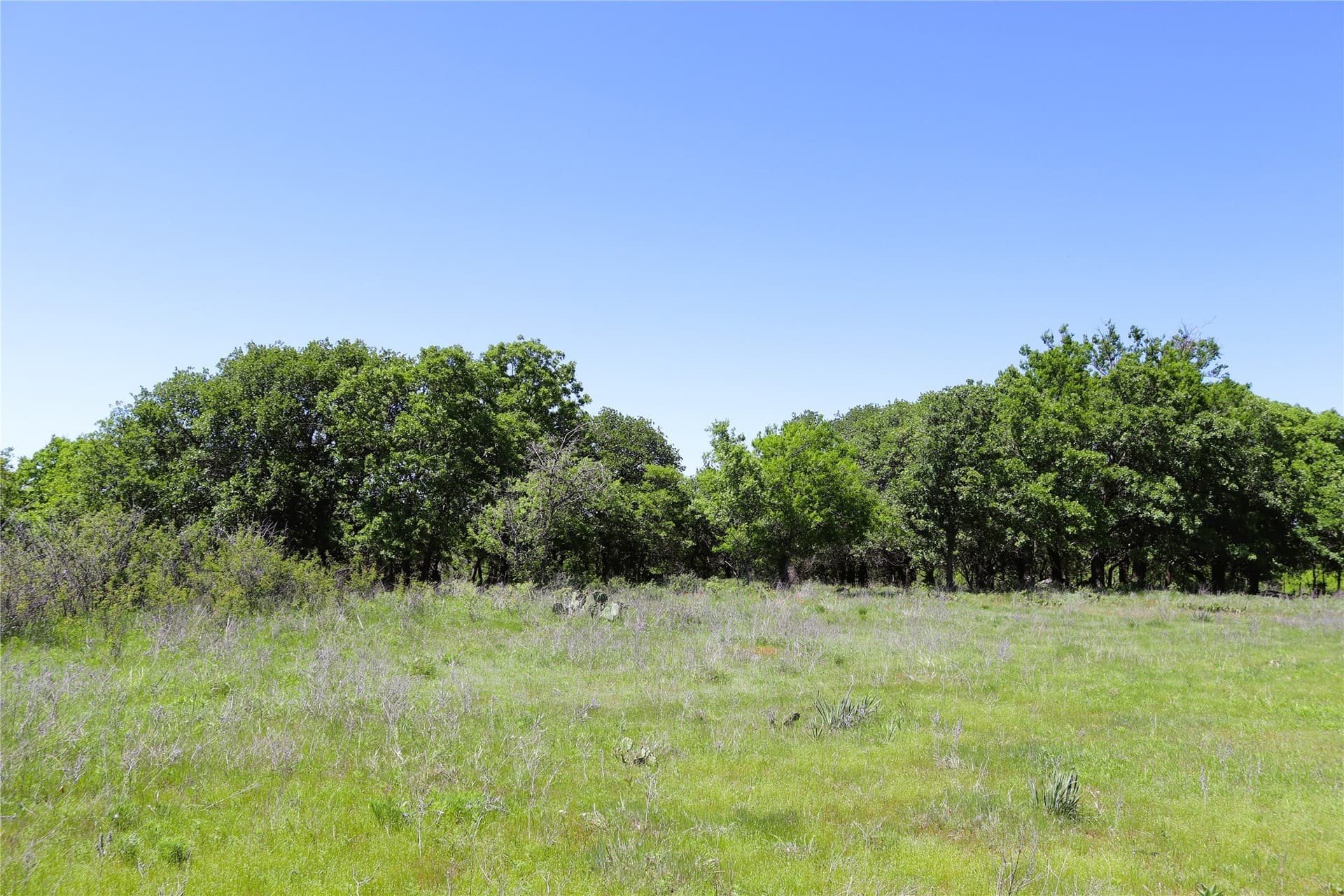40 acres in Clay County - photo 10