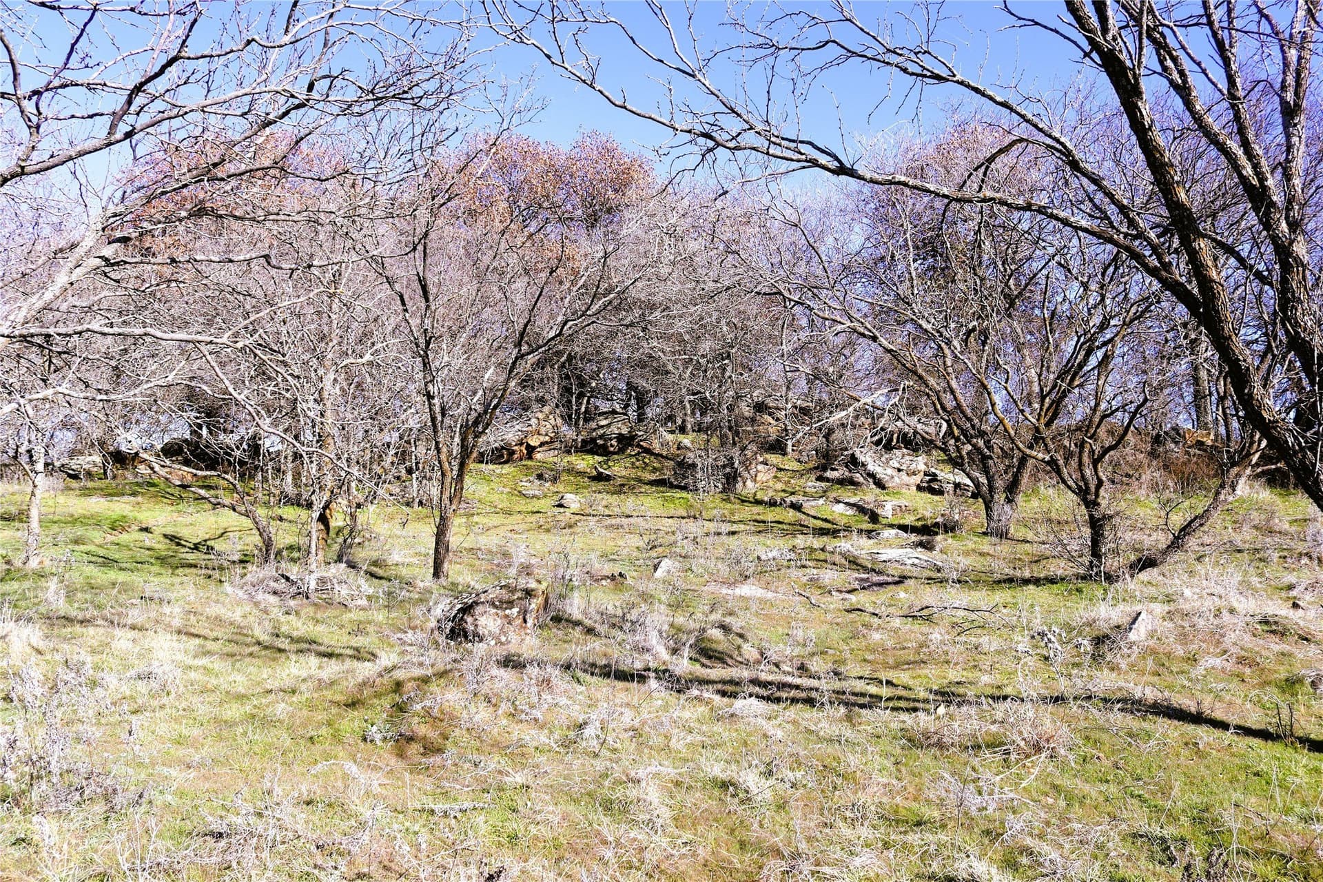 40 acres in Clay County - photo 19
