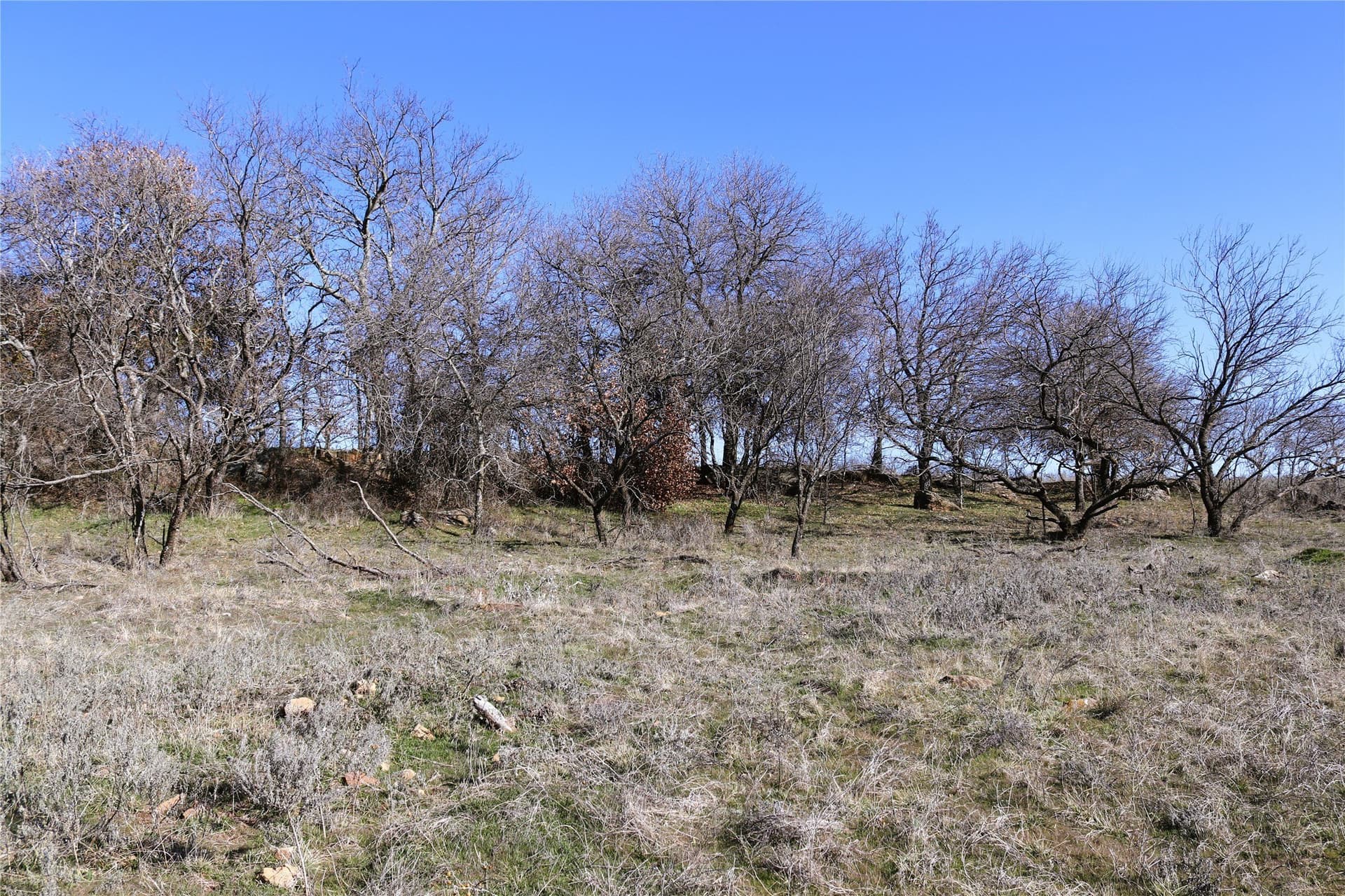 40 acres in Clay County - photo 20