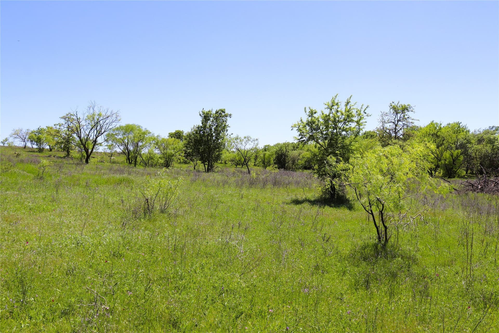 40 acres in Clay County - photo 14