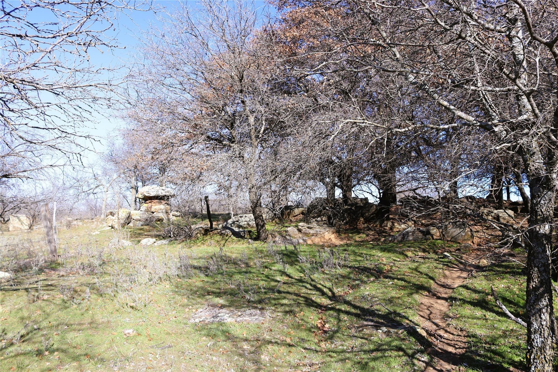 40 acres in Clay County - photo 17